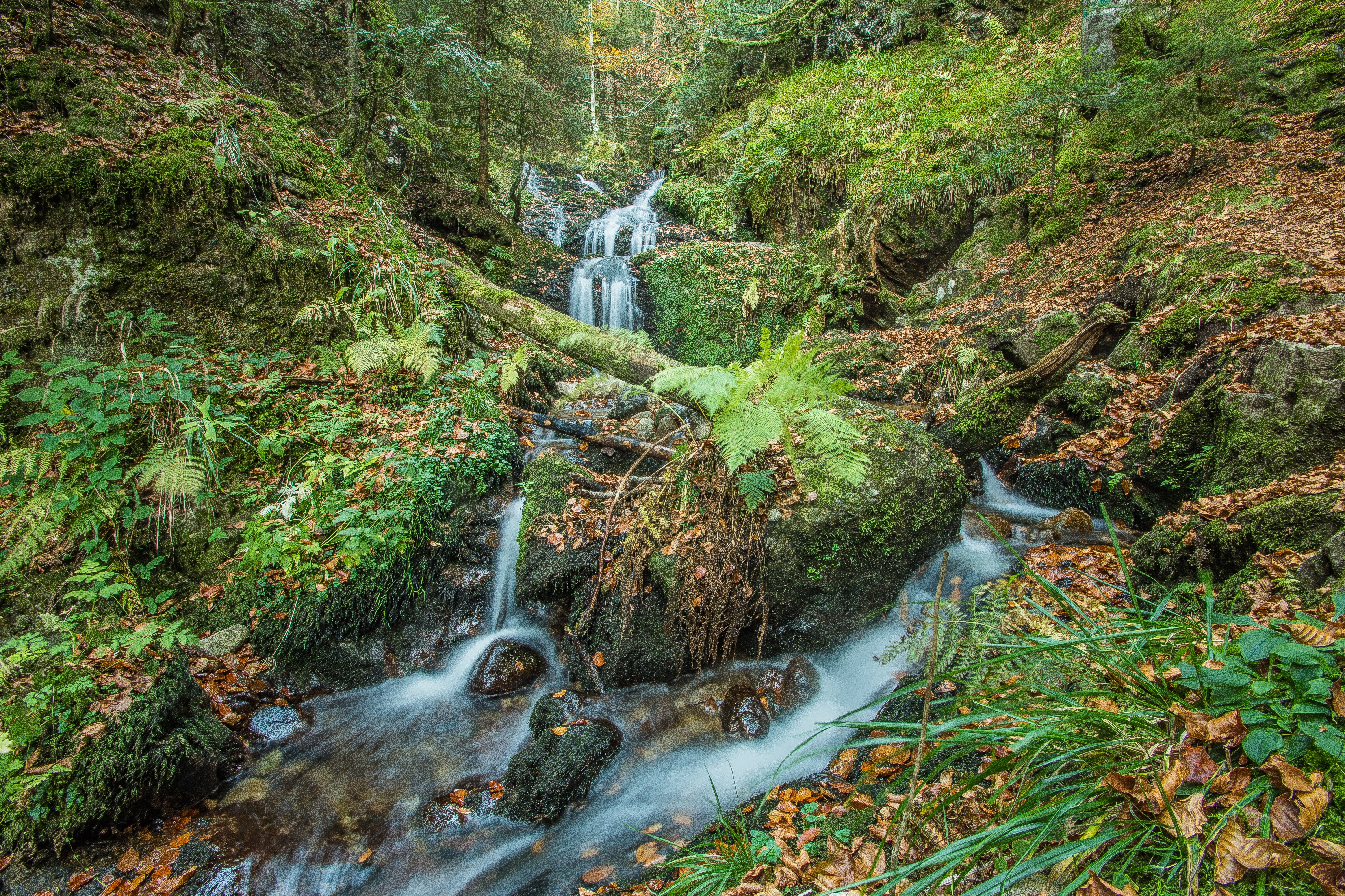 Wallpapers river waterfall Cascade Charlemagne on the desktop