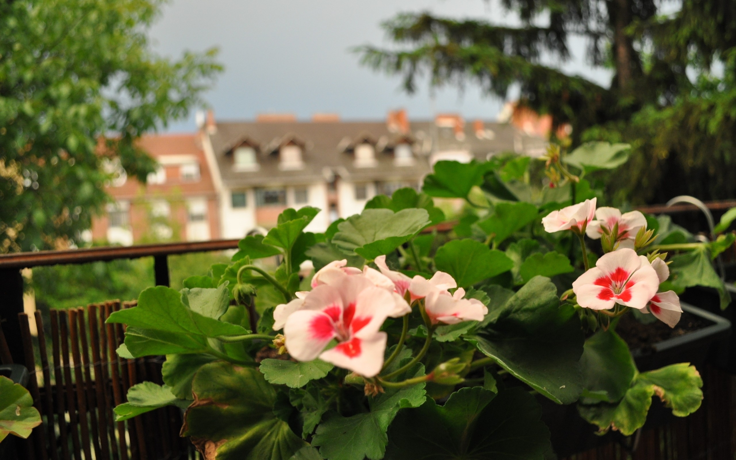 Free photo A cozy corner