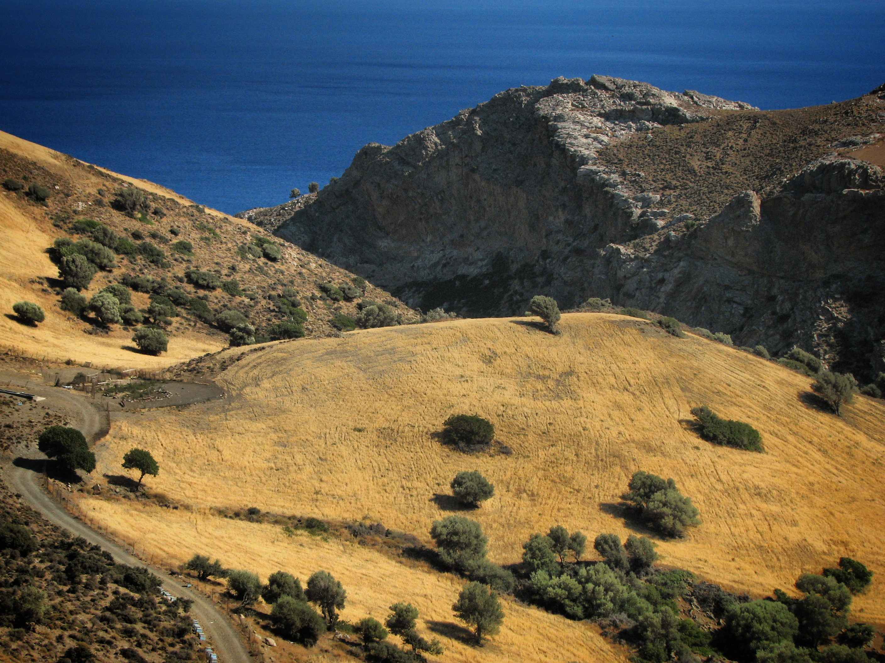 Free photo Hills with shrubs