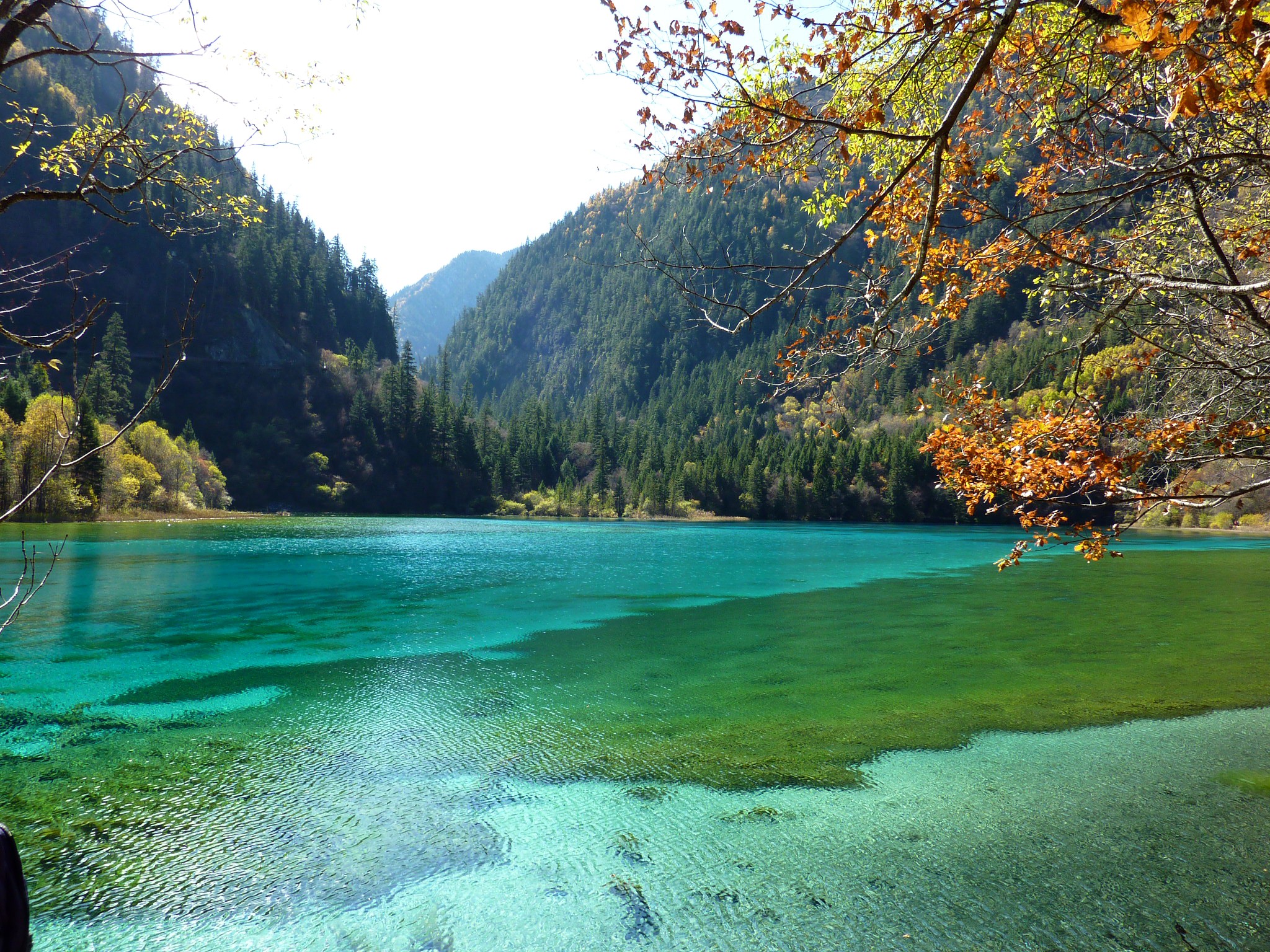 Free photo A clear lake in the mountains