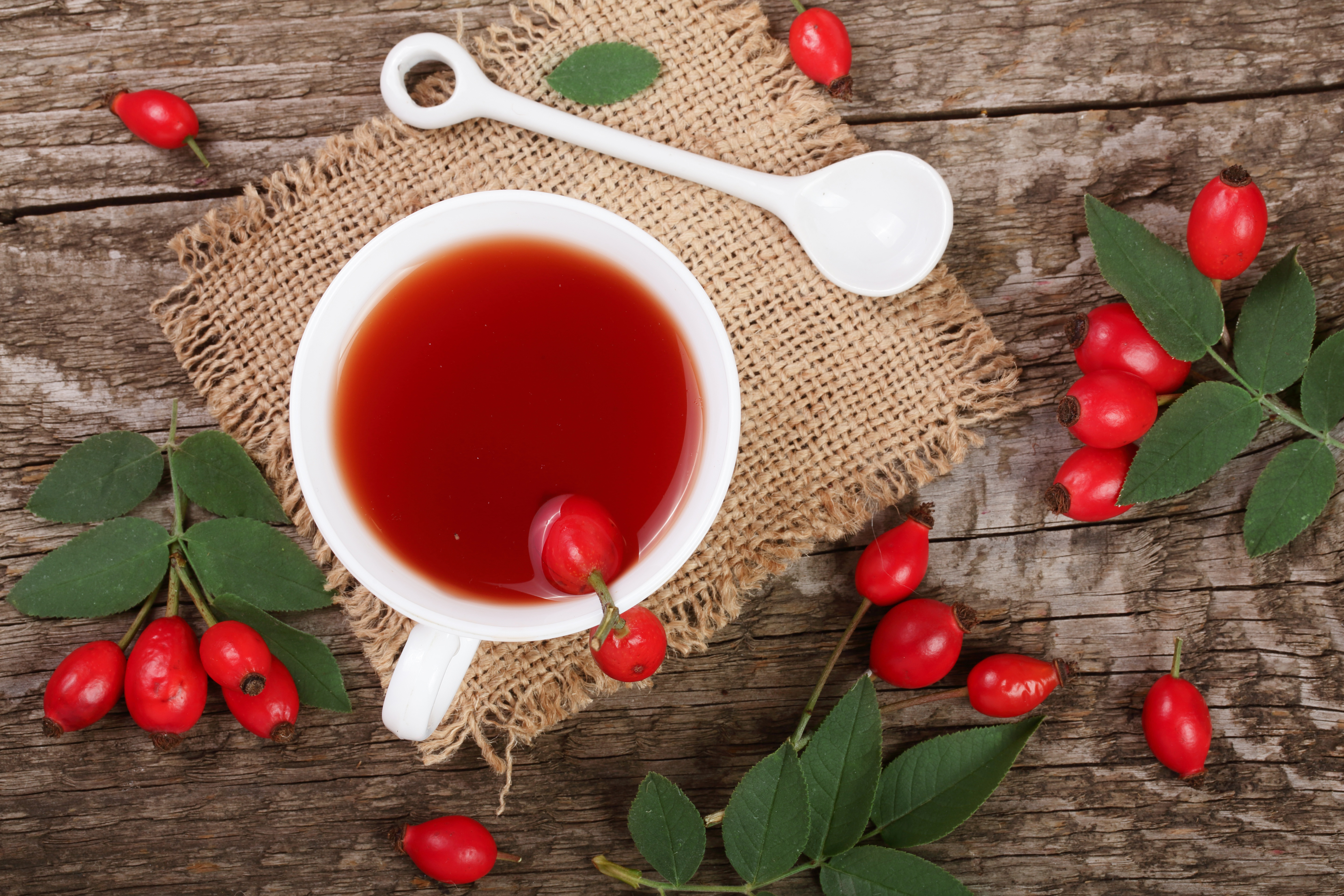 Free photo Autumn tea from rose hips