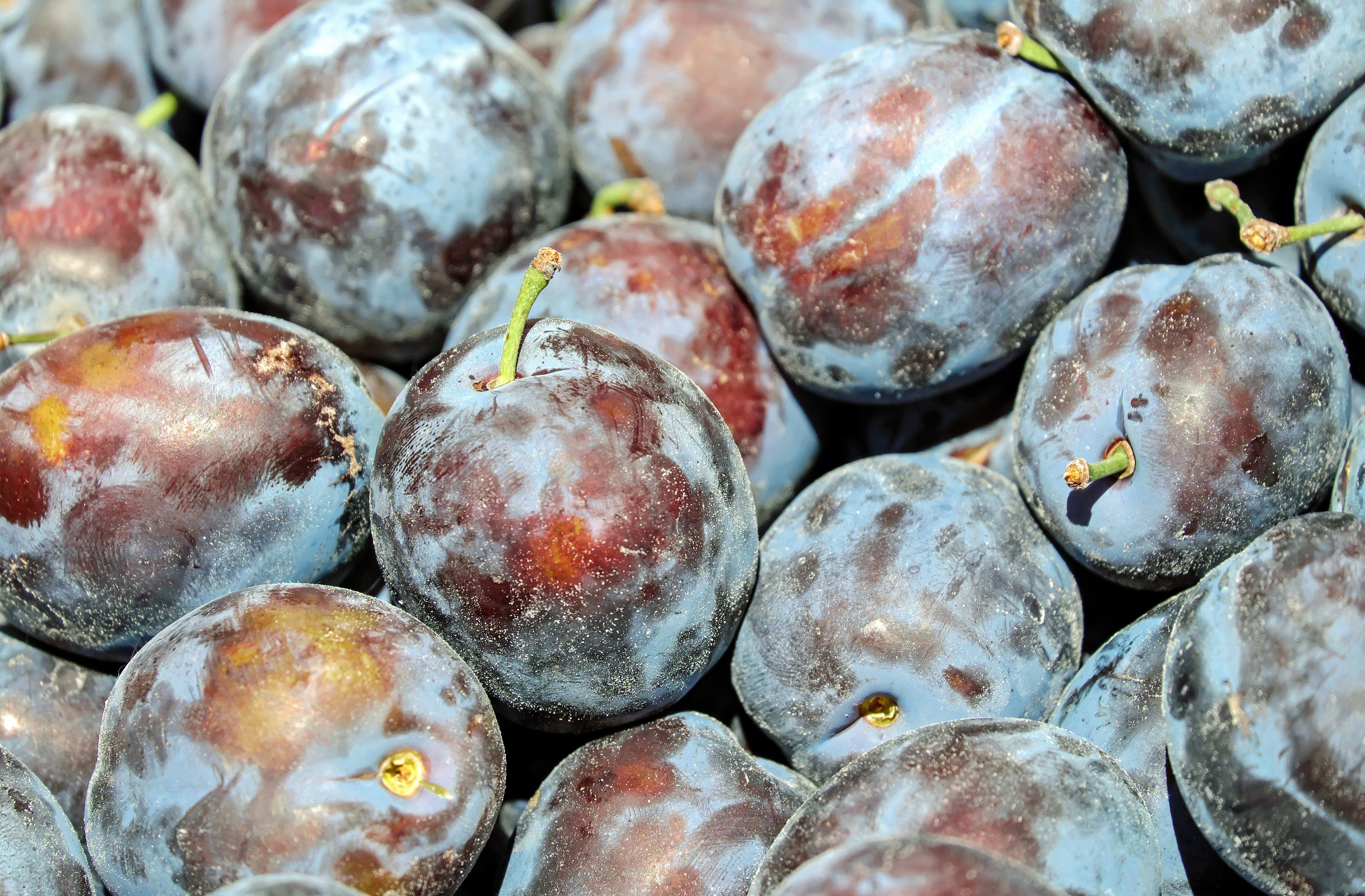 Wallpapers plant fruits food on the desktop
