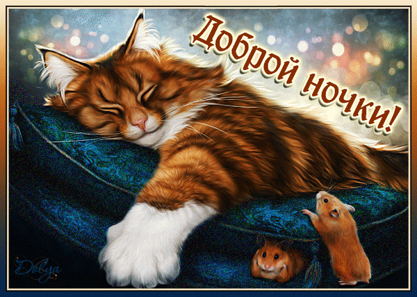 主题为晚安 猫咪 姜猫的明信片免费下载