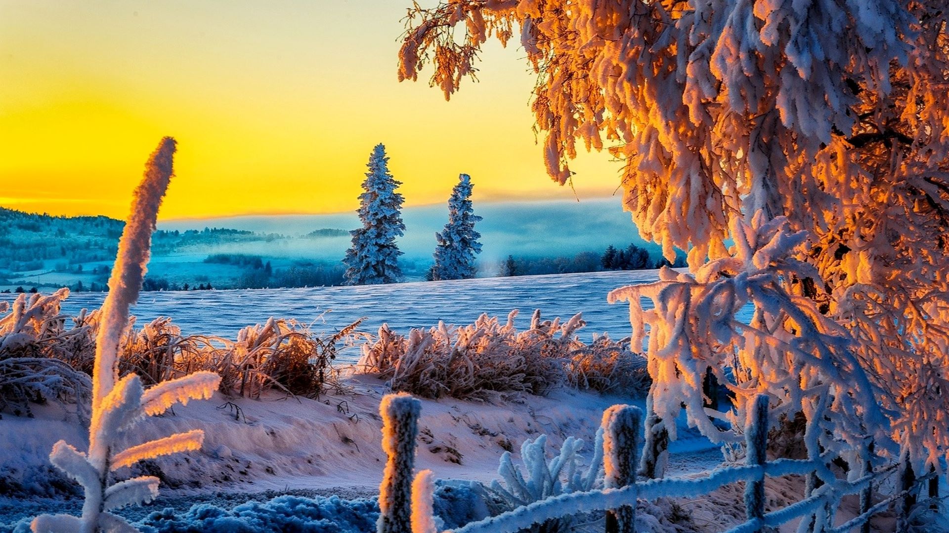 Free photo Winter landscape