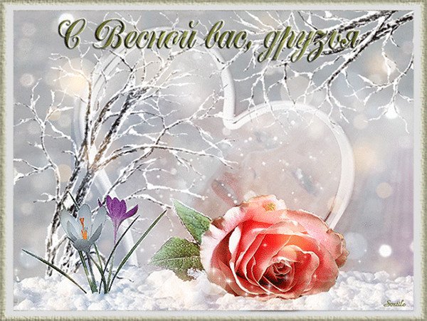 Postcard on the theme serdechko snow red rose download for free