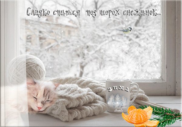 Открытка на тему окно снег птичка скачать бесплатно