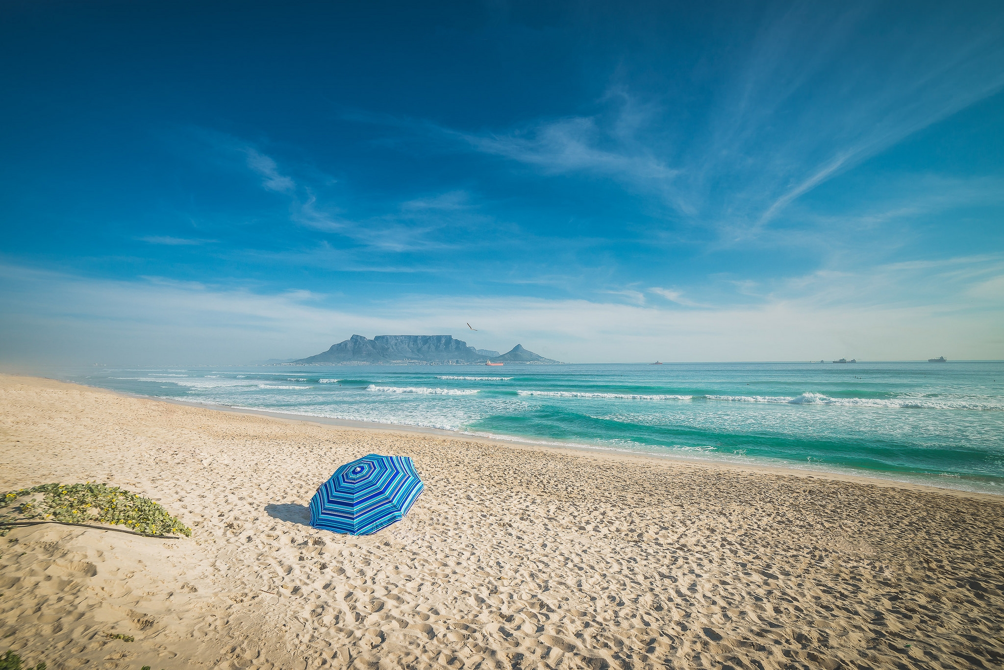 Wallpapers large bay Cape Peninsula Cape Town on the desktop