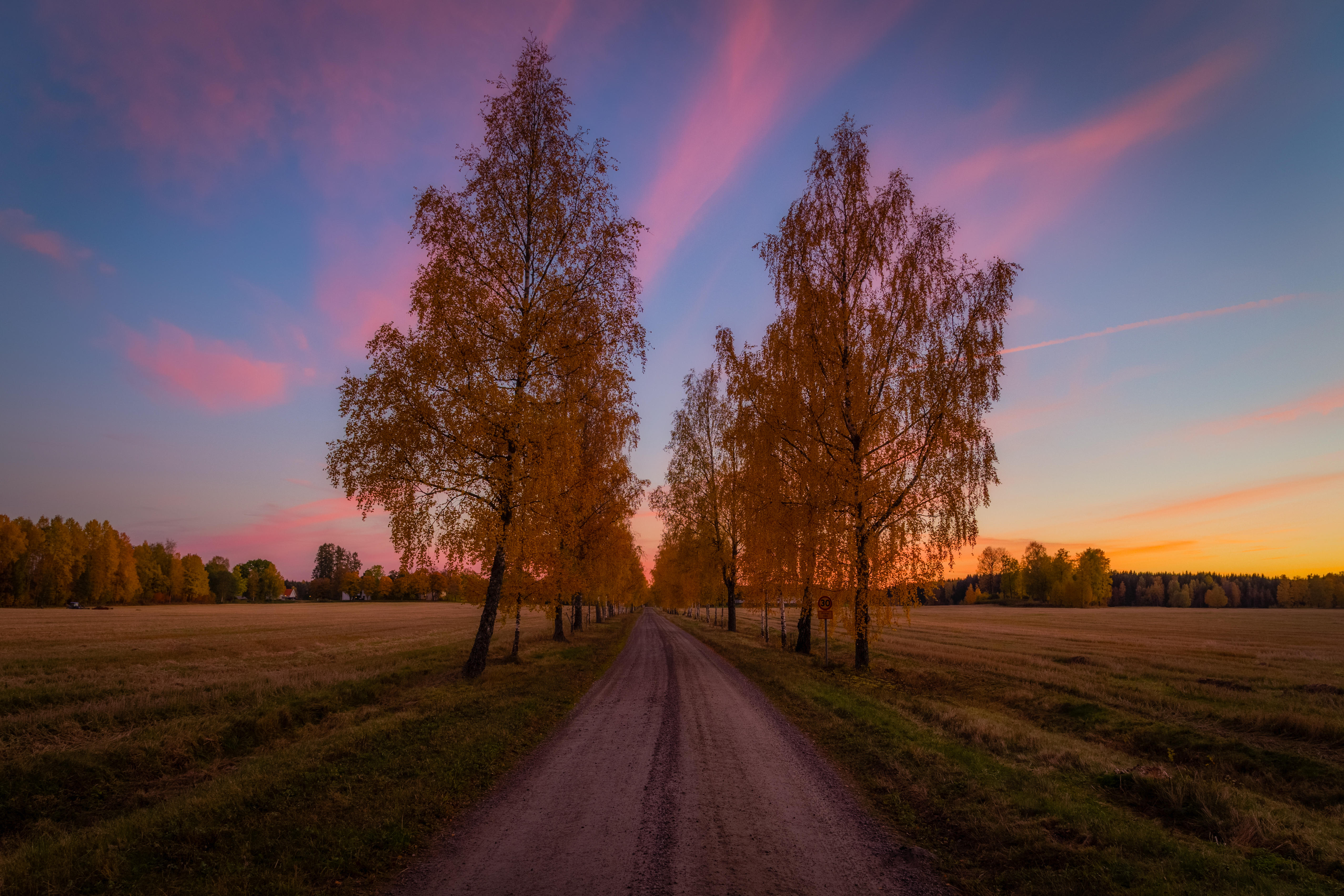 Wallpapers gravel road sunset trees on the desktop