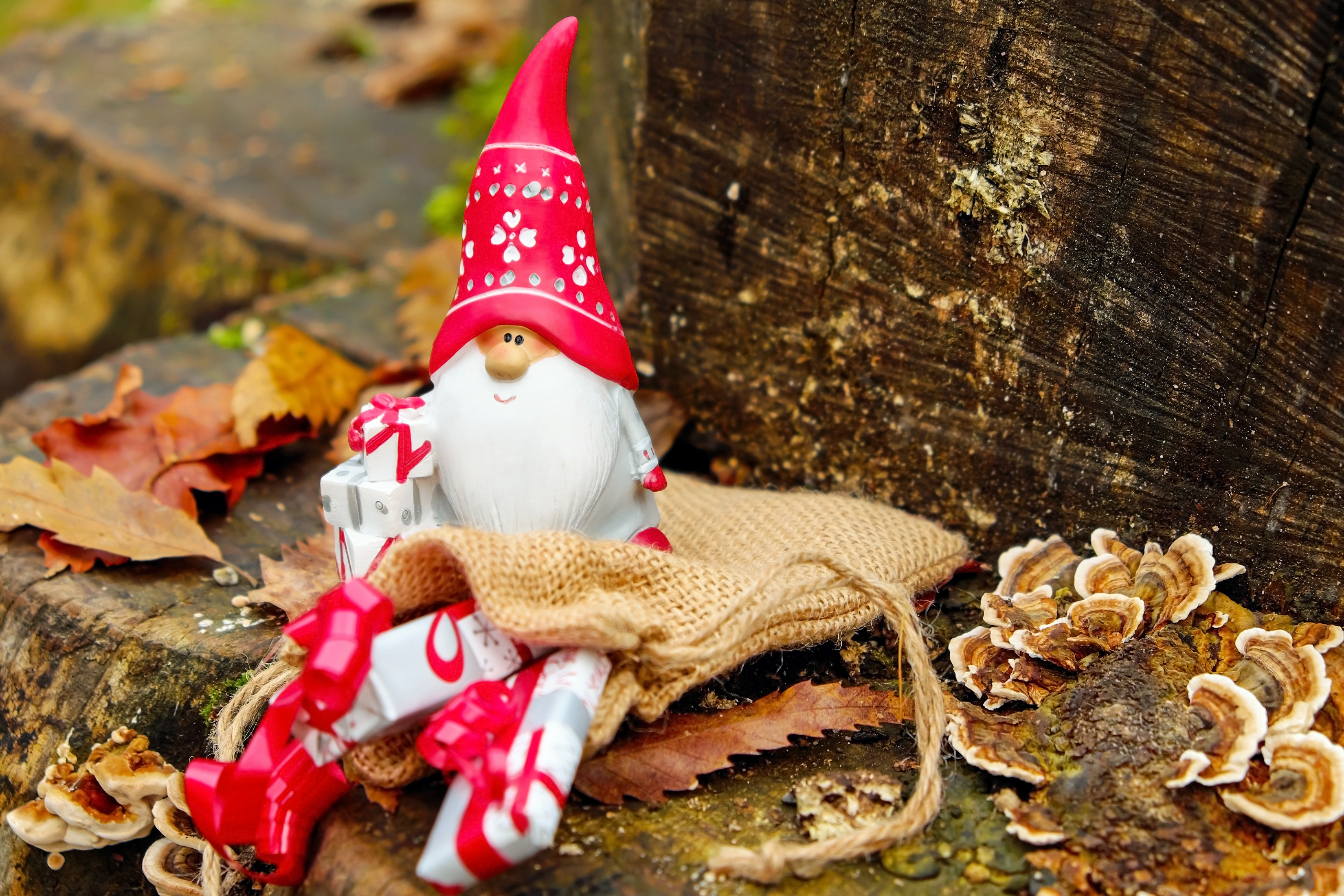 Wallpapers autumn christmas decor on the desktop