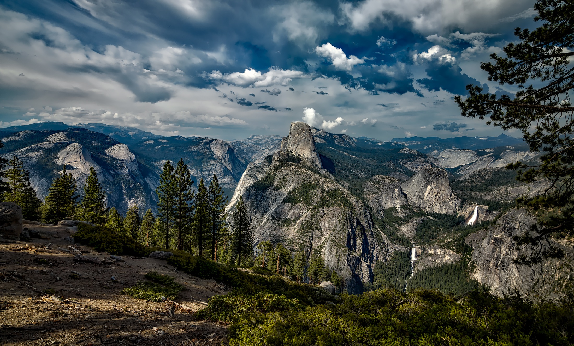 Wallpapers Forest California a picturesque on the desktop