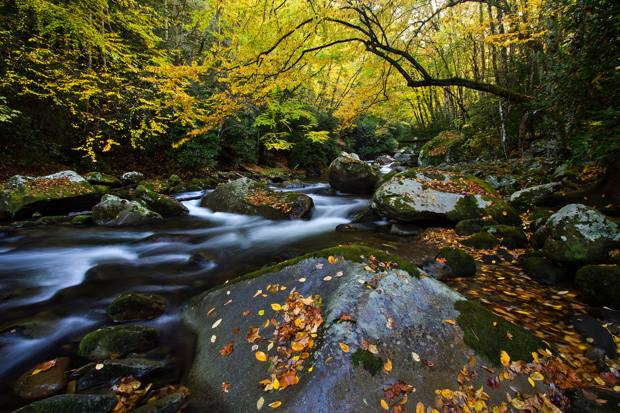 Free photo Autumn screensaver, rocks on your computer