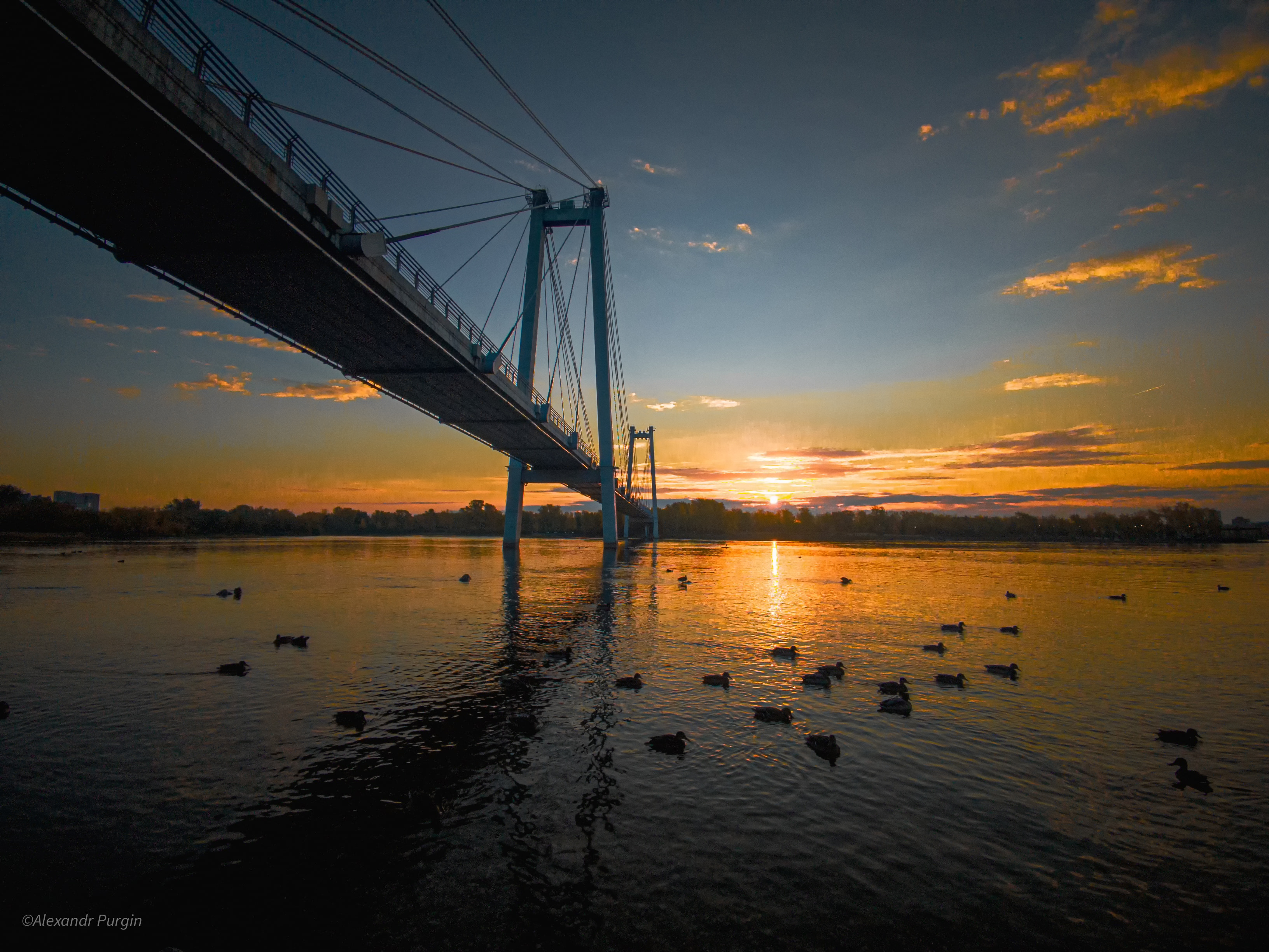 Free photo Sunrise in a park near a river with a suspension bridge