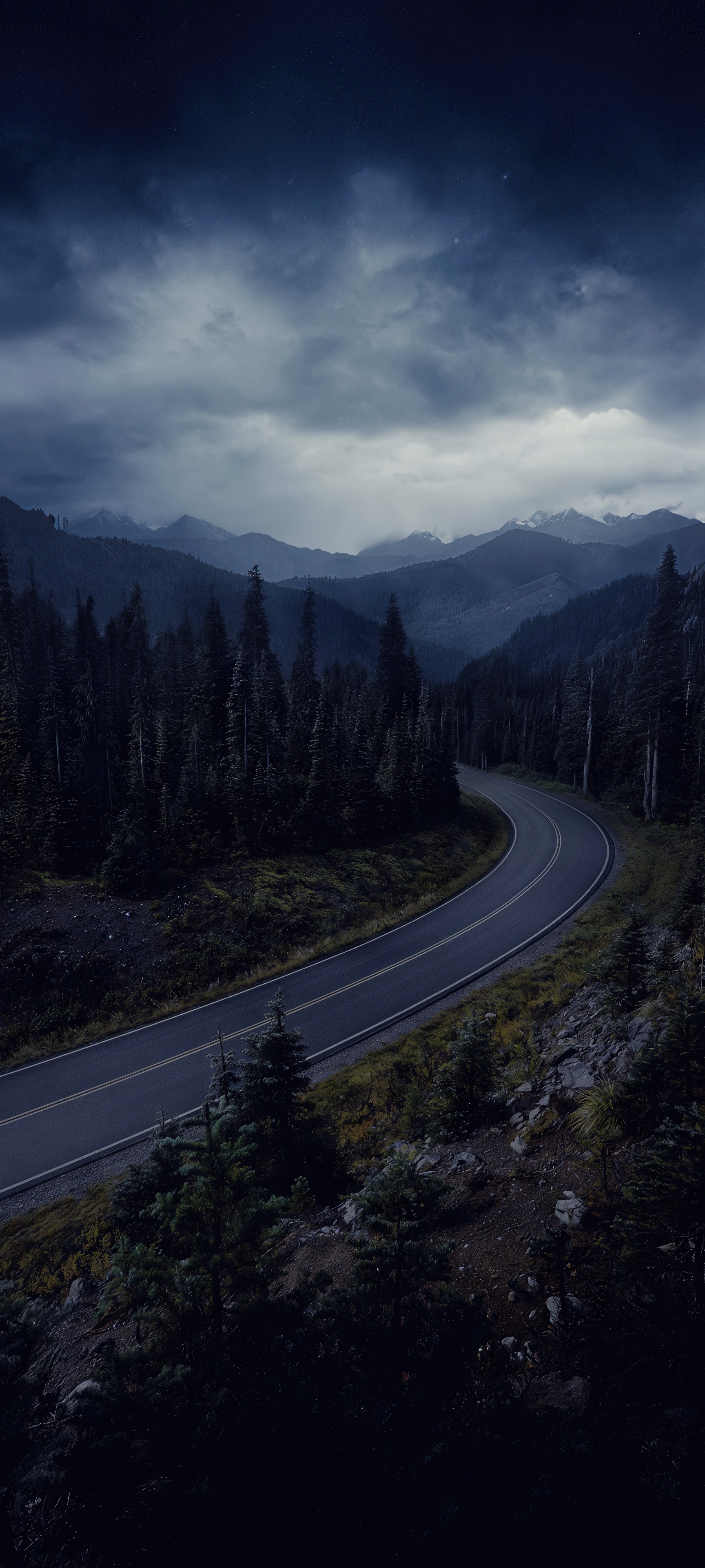 Бесплатное фото Дорога, петляющая среди хвойных деревьев, ведёт к туманным вершинам.