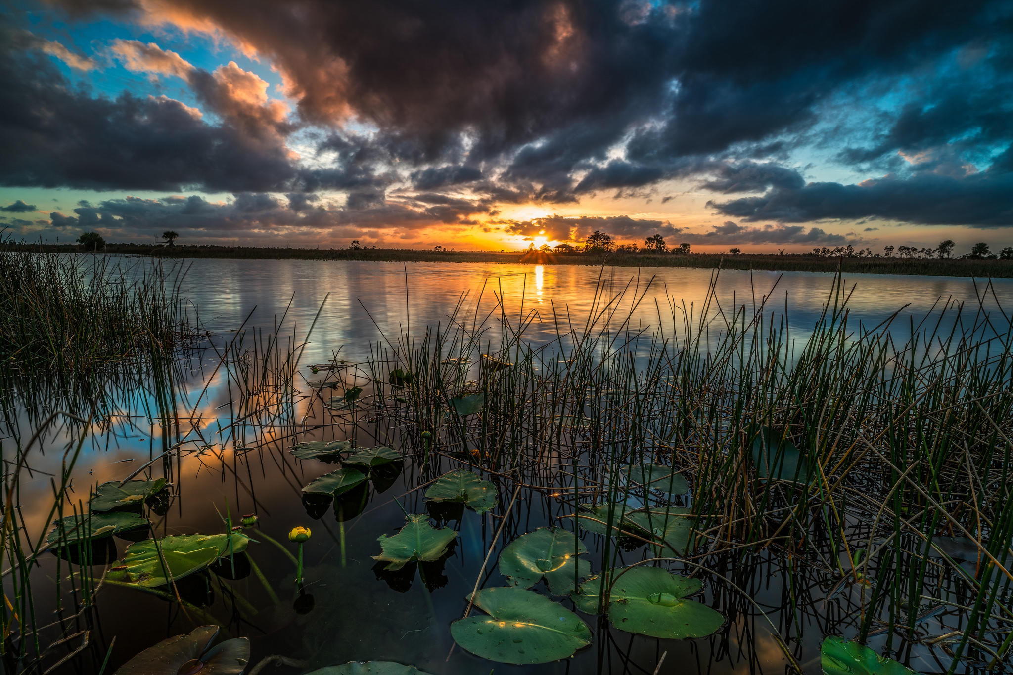 Wallpapers trees sunset Florida on the desktop