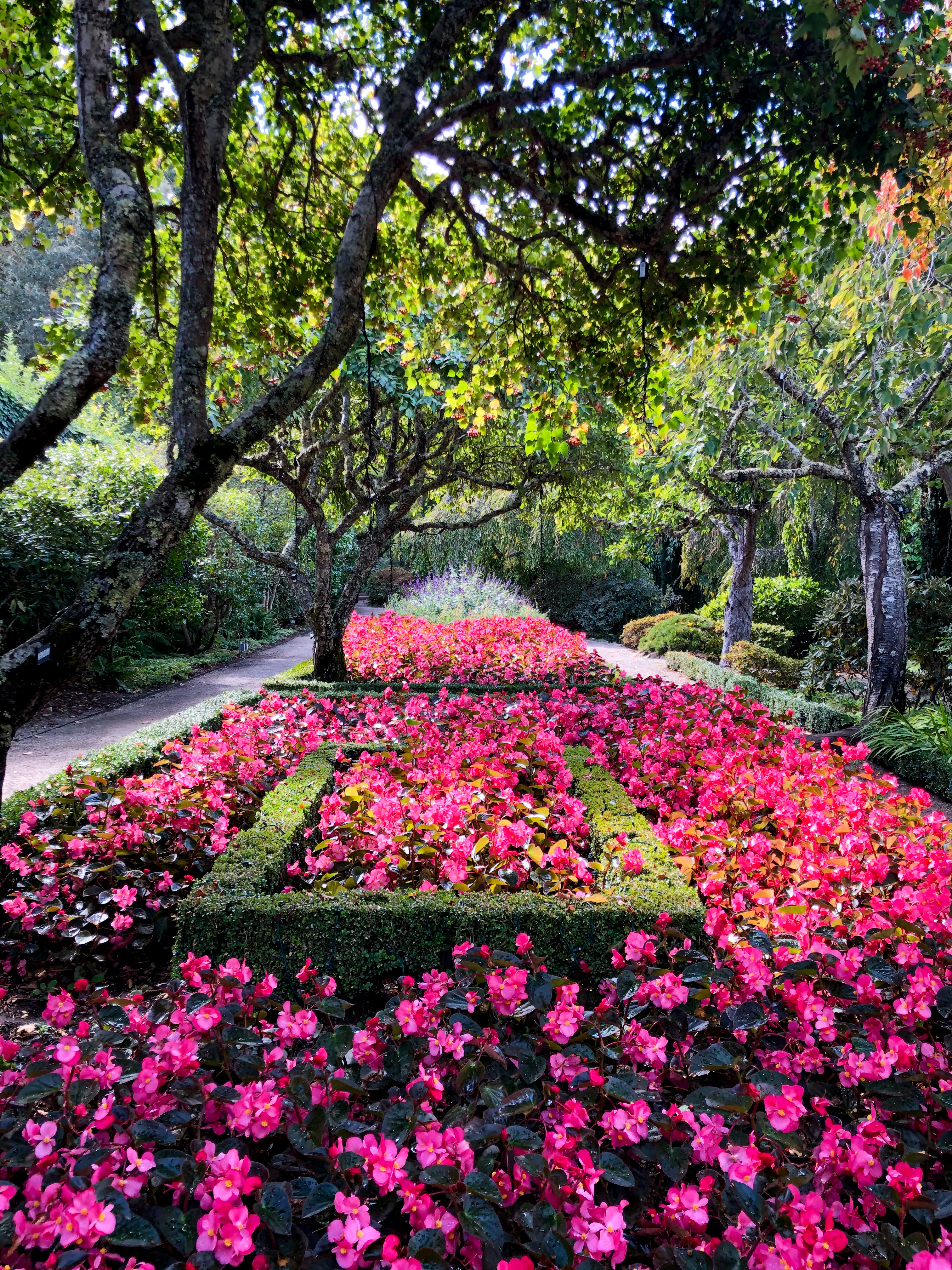 Free photo Chinese flowering alley with flowers