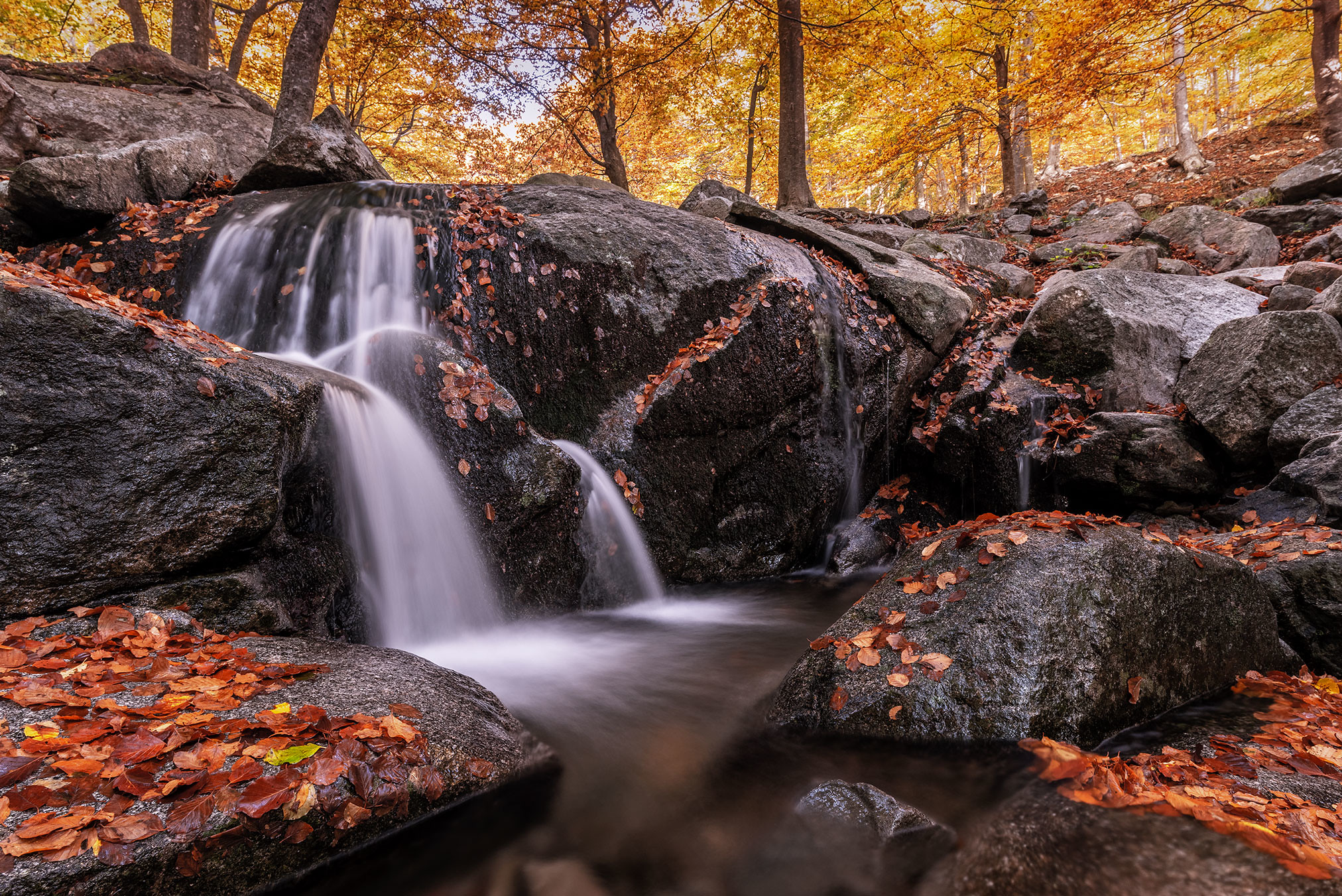Wallpapers waterfall fallen leaves autumn forest on the desktop