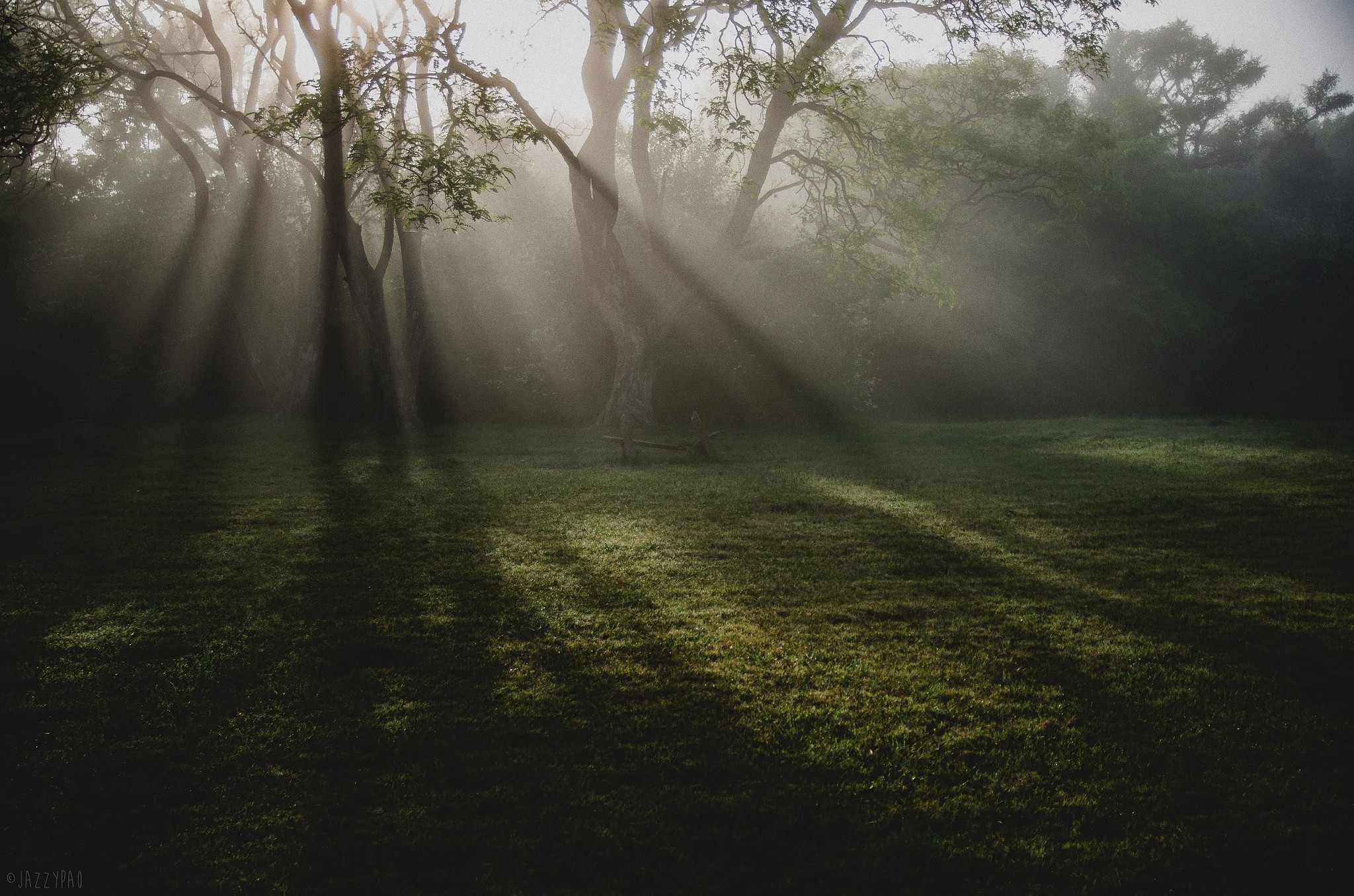 солнечные лучи