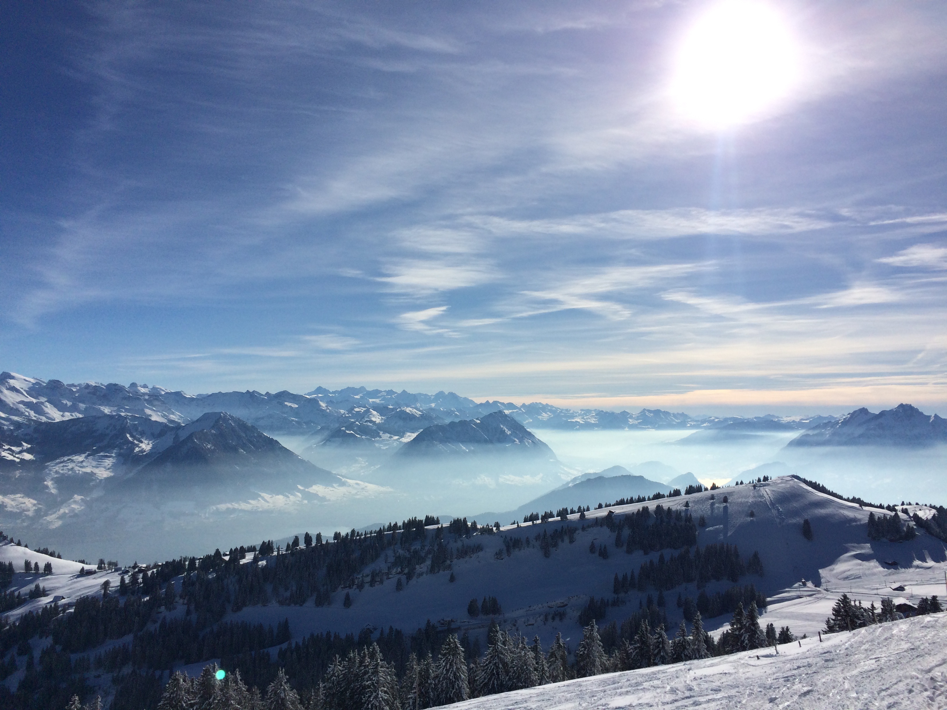 Free photo Winter mountains with Christmas trees on the hills on a sunny frosty day