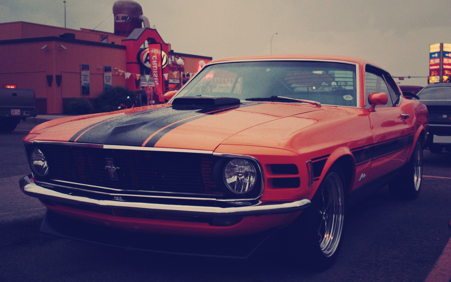 Wallpapers Ford Mustang front of cars on the desktop