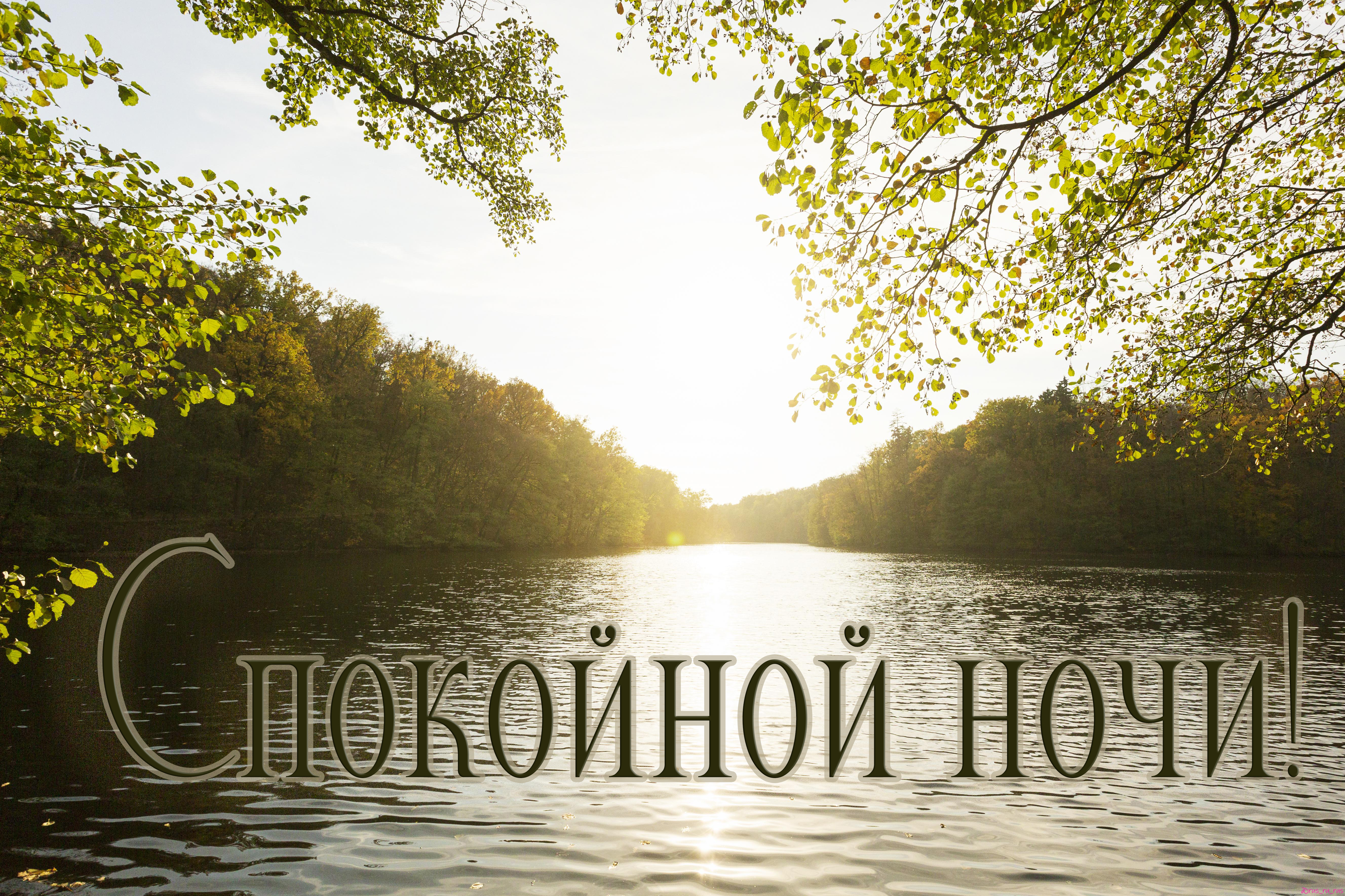 Бесплатная открытка Спокойной ночи @rusrurus6