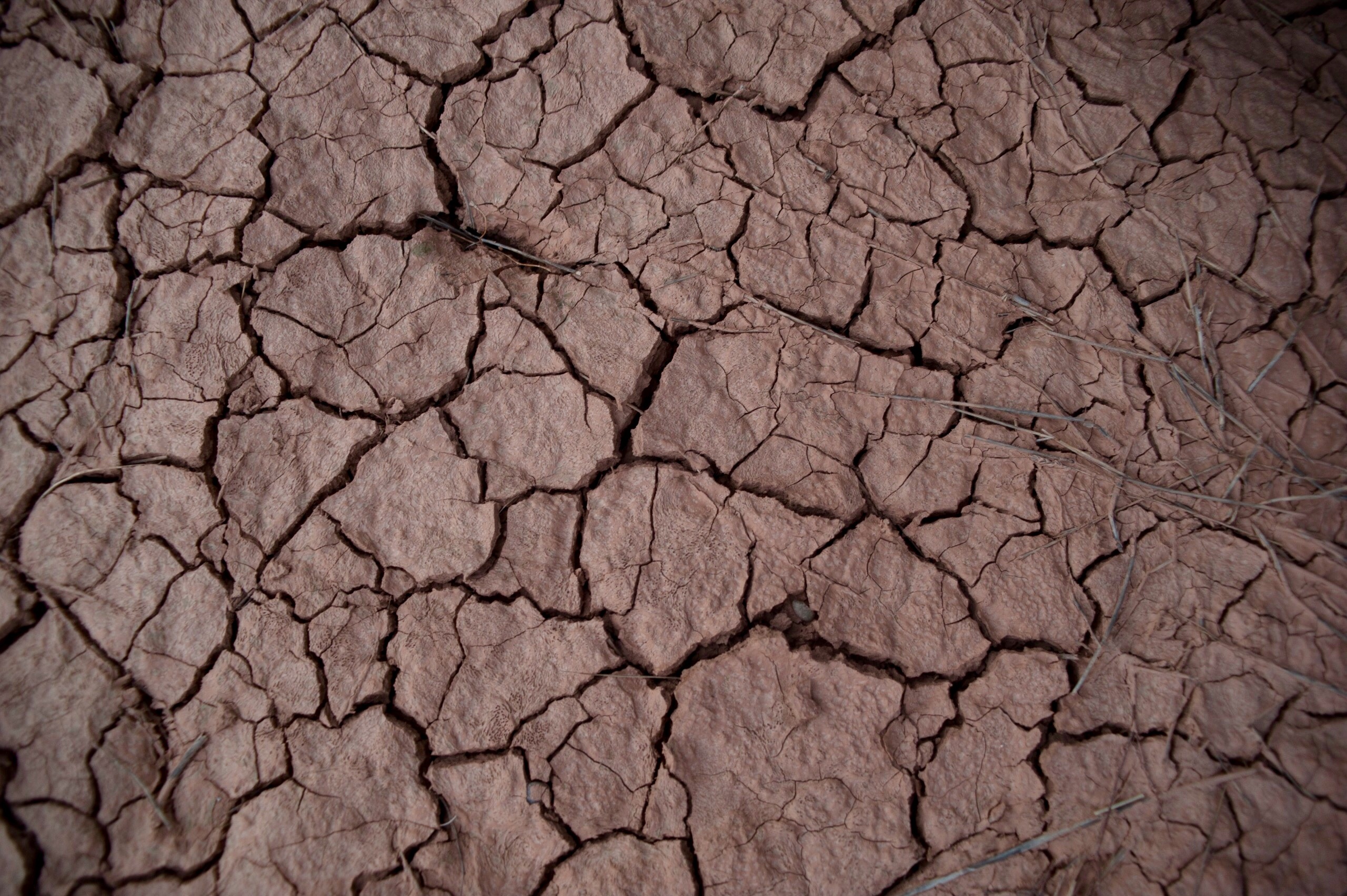 Free photo dried earth