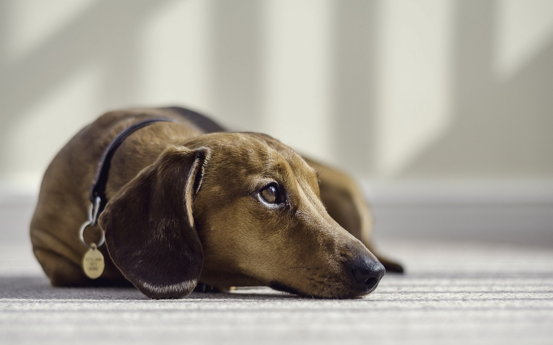 Бесплатное фото Одинокий взгляд