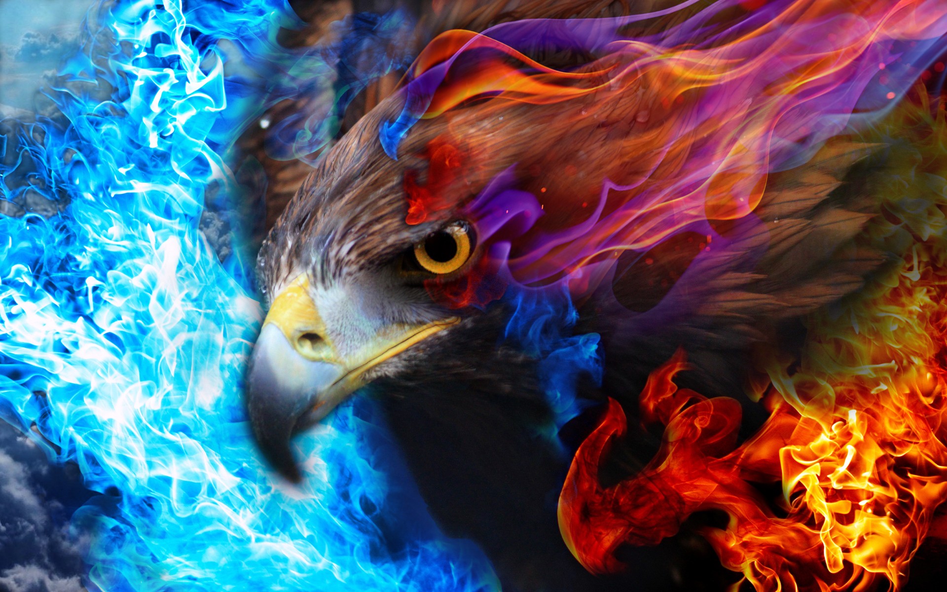 Wallpapers eagle fire rendering on the desktop