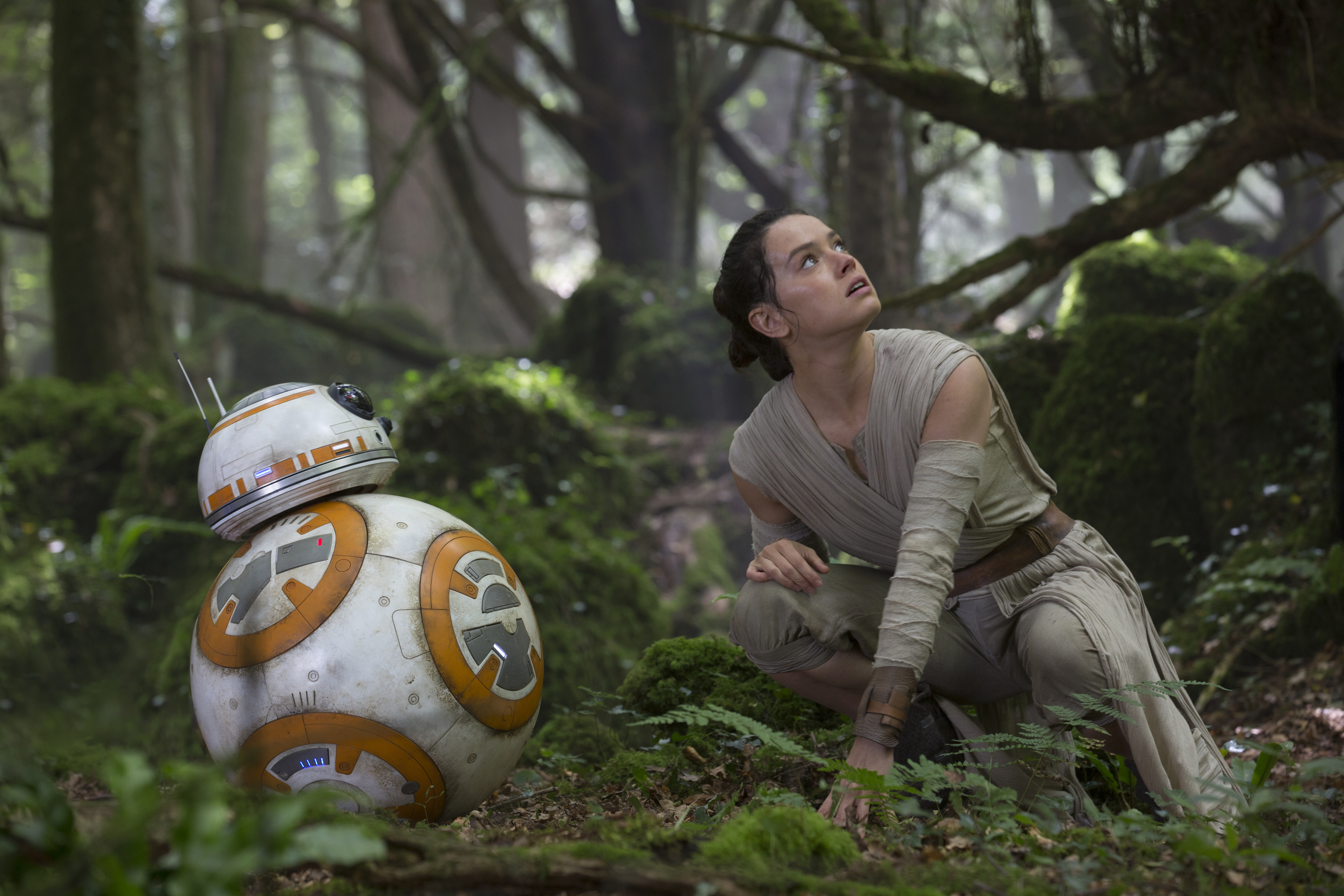 Wallpapers Bb 8 star wars rey on the desktop