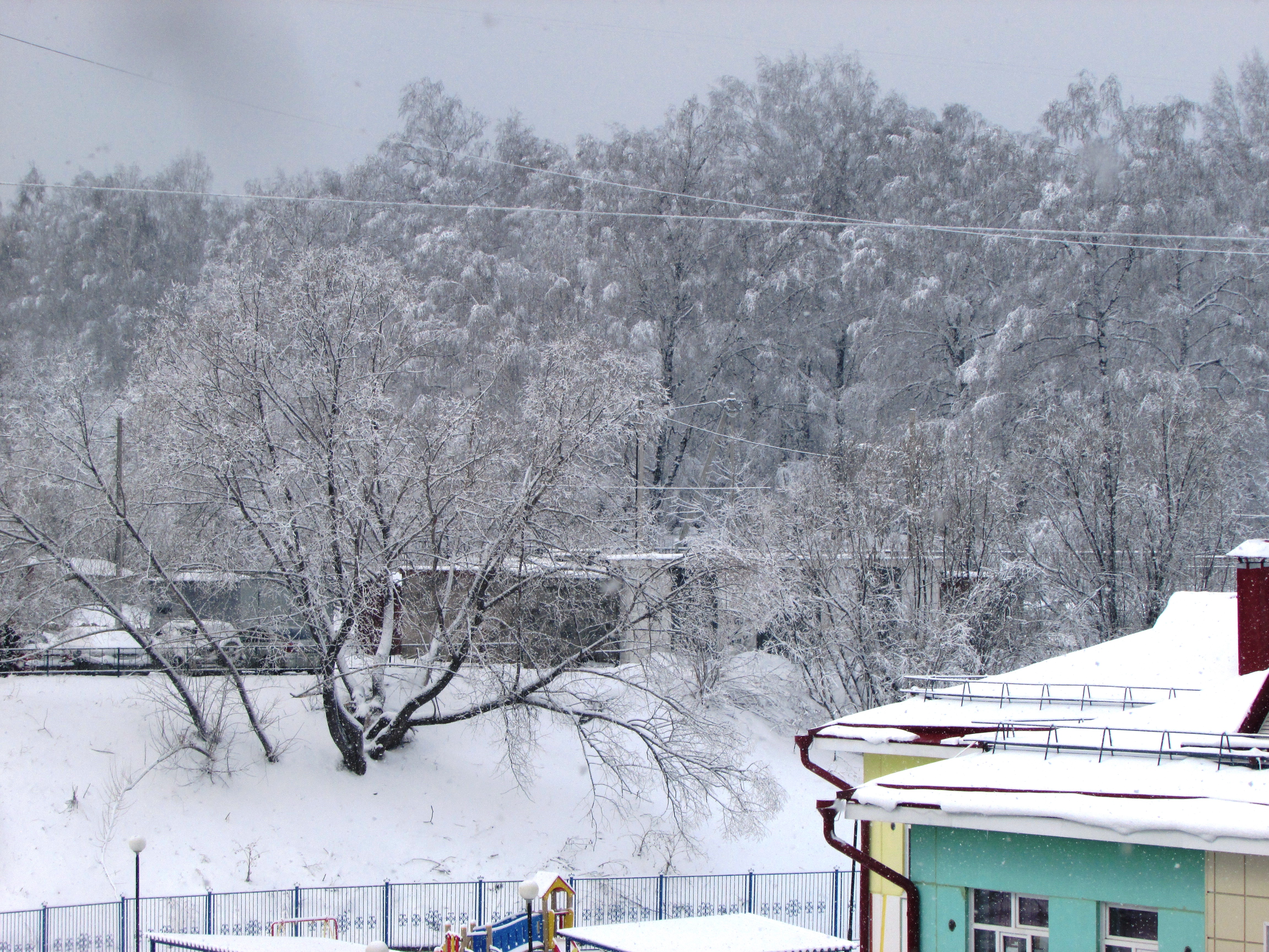 免费照片幼儿园旁边的冬季小树林