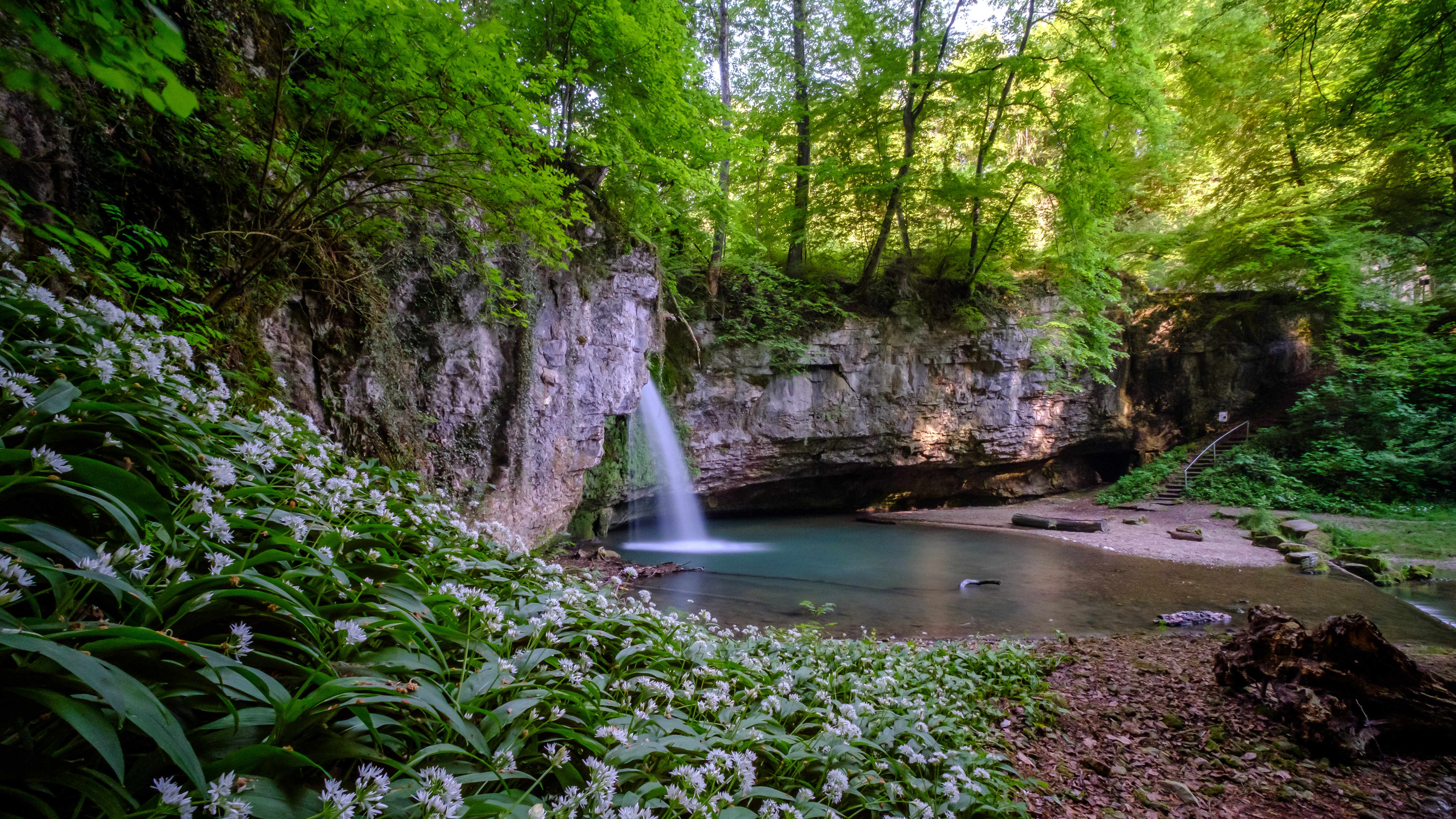 Free photo A waterfall into a small lake in the woods