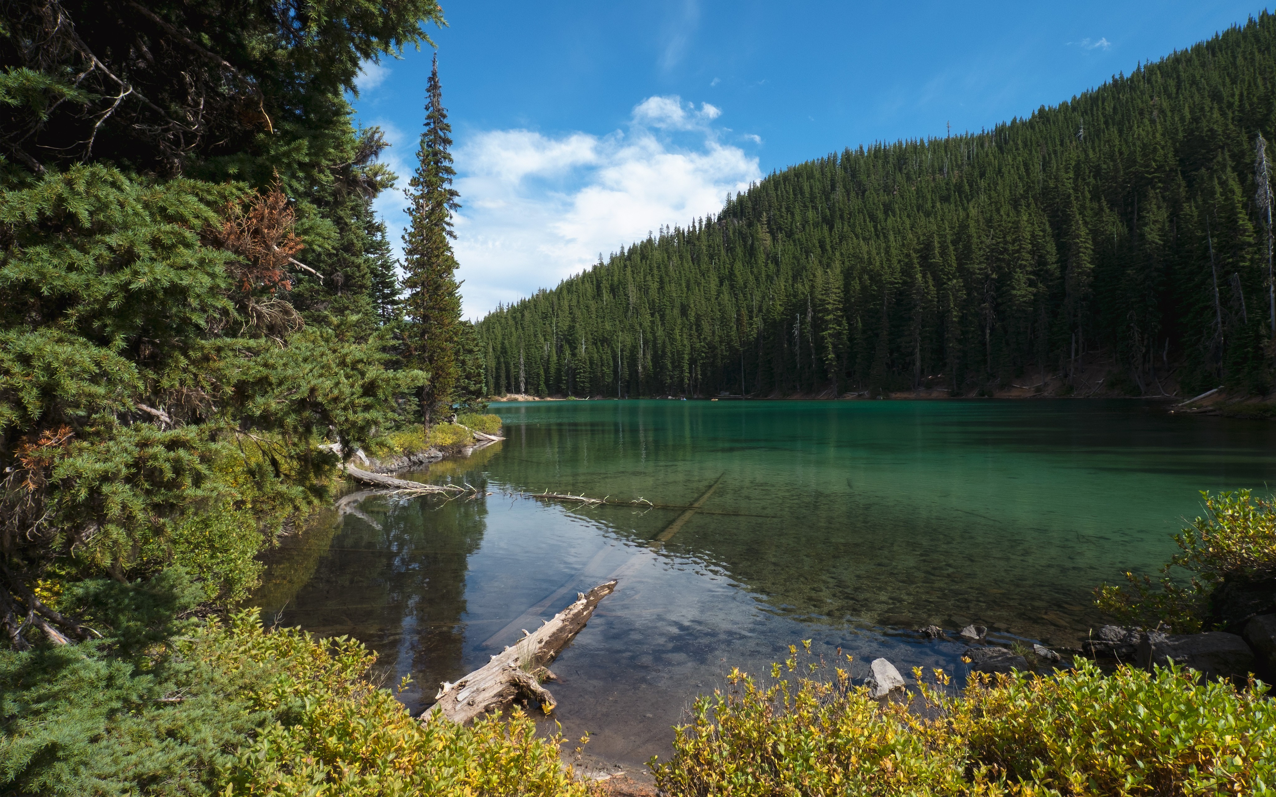 Free photo Transparent river