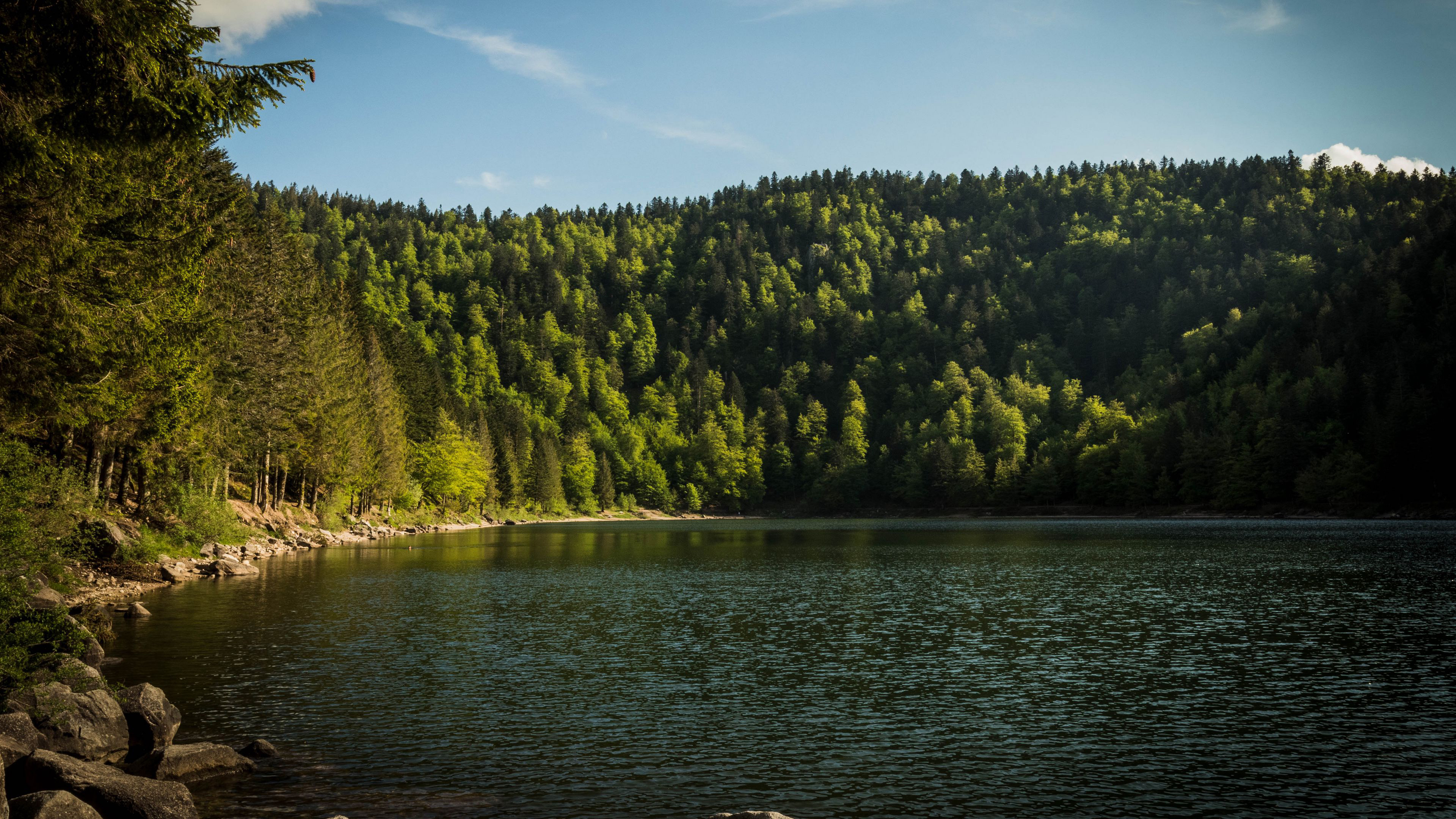 桌面上的壁纸地貌 温馨 涟漪