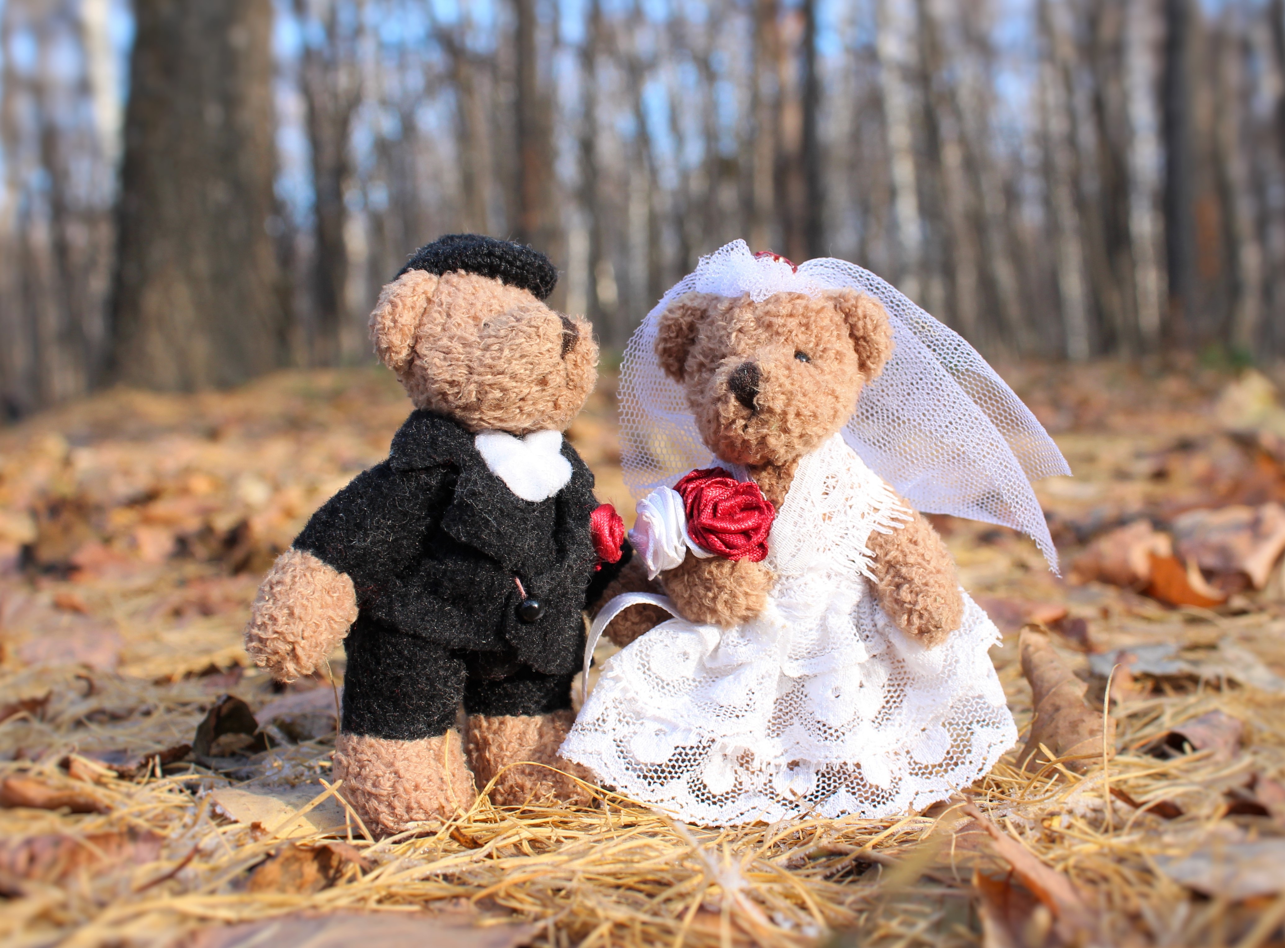 Free photo A wedding of plush toys