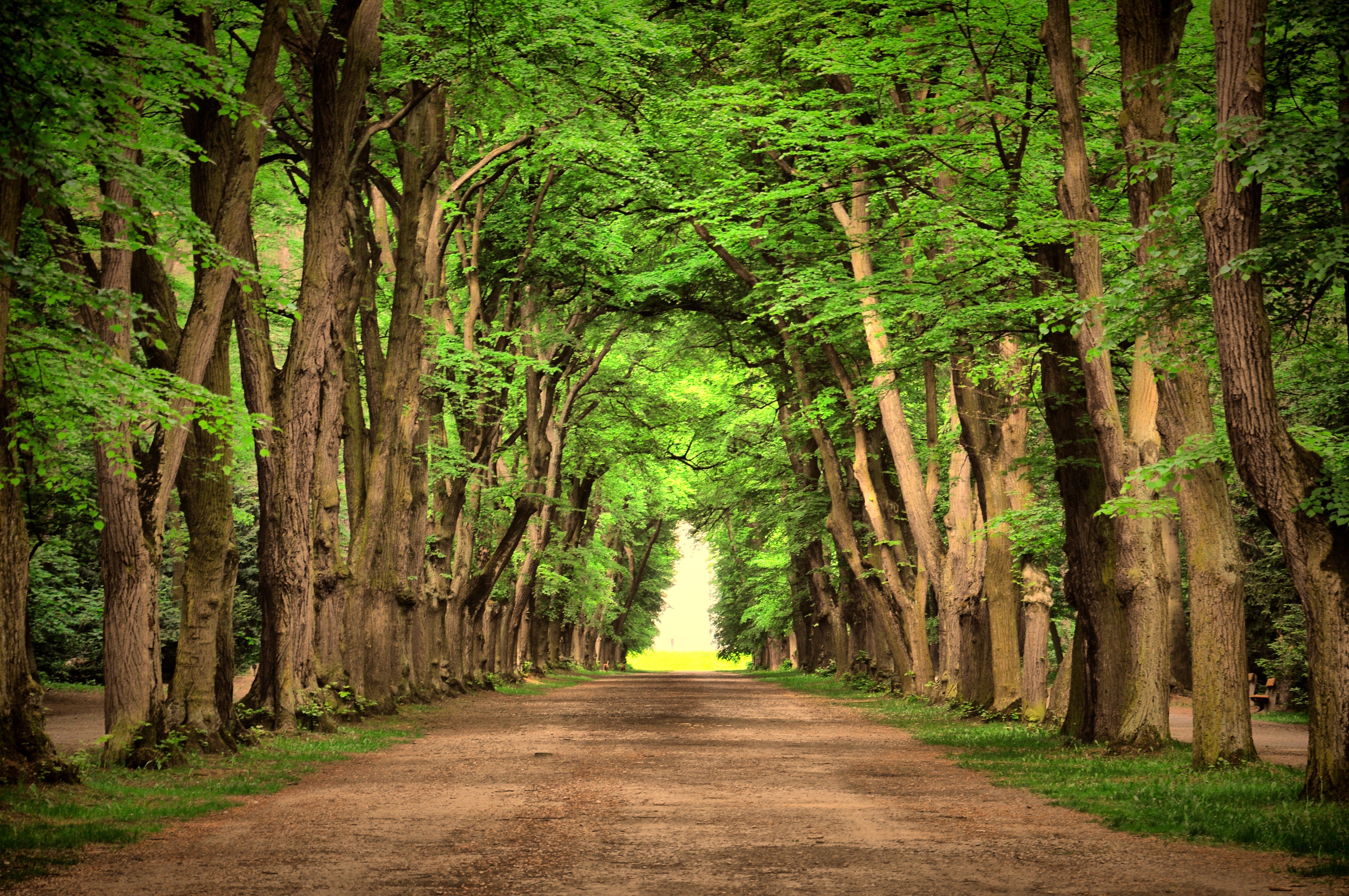 Wallpapers beautiful green landscape on the desktop