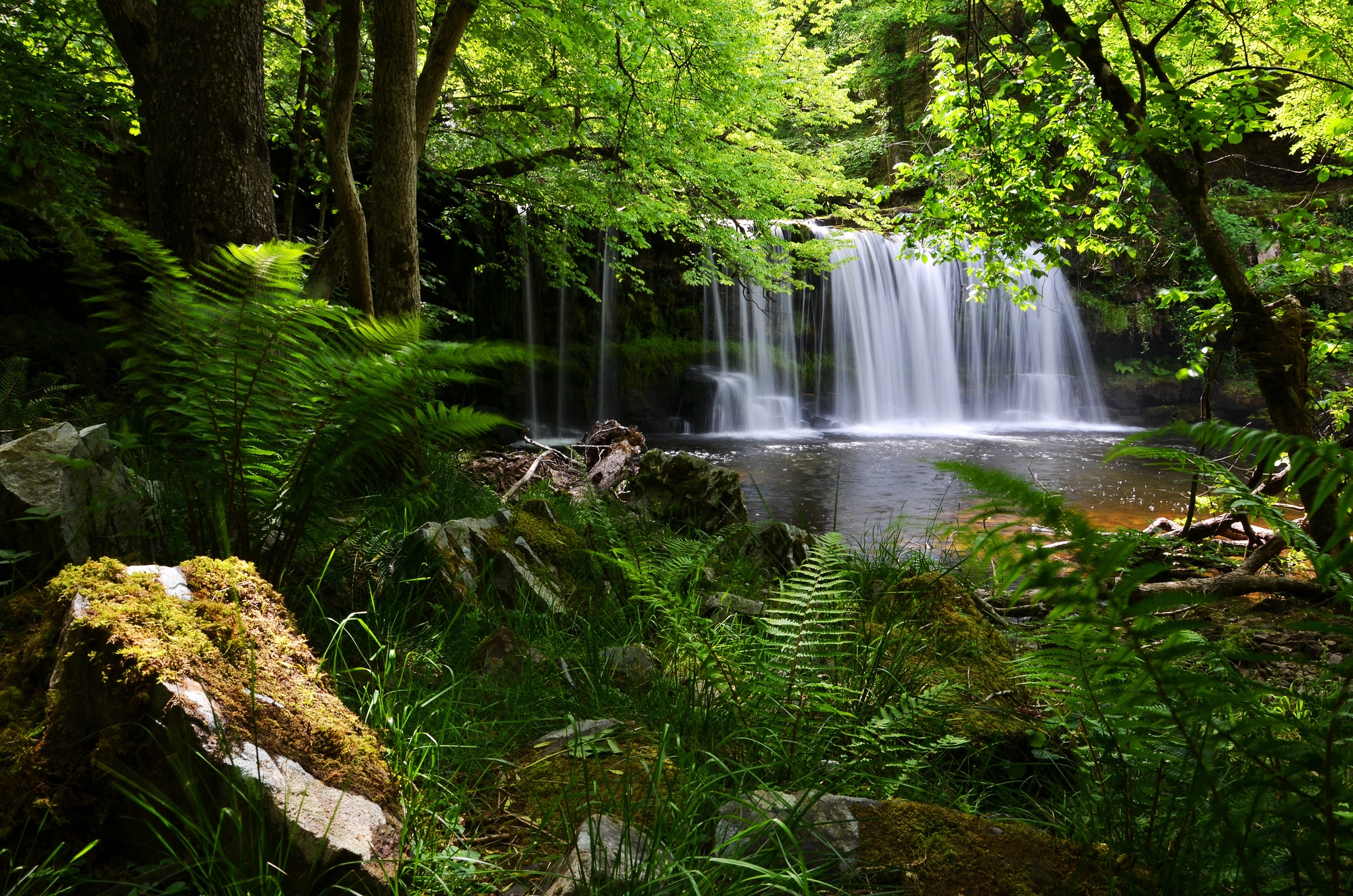 Photo pictures of forest, waterfall