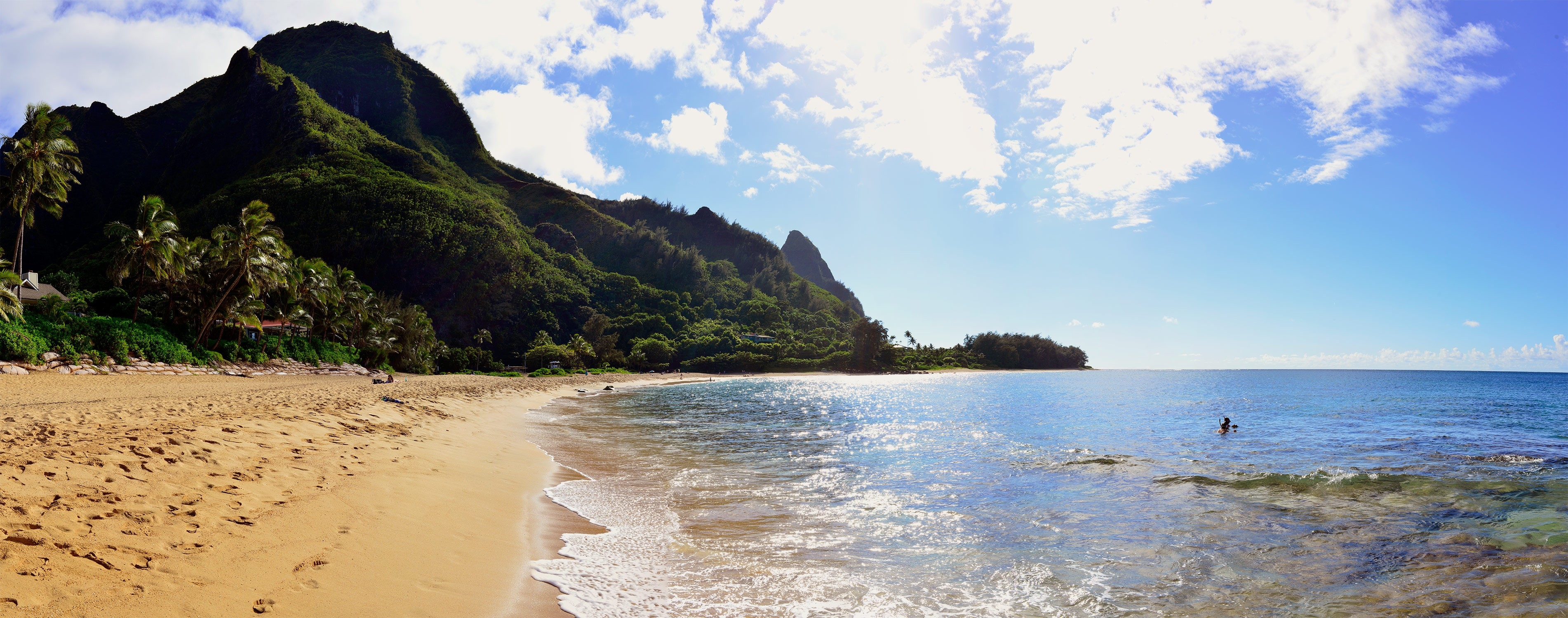 Tropical Beach in Hawaii
