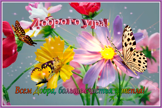 Postcard on the theme butterflies 3d text cosmea bouquet download for free