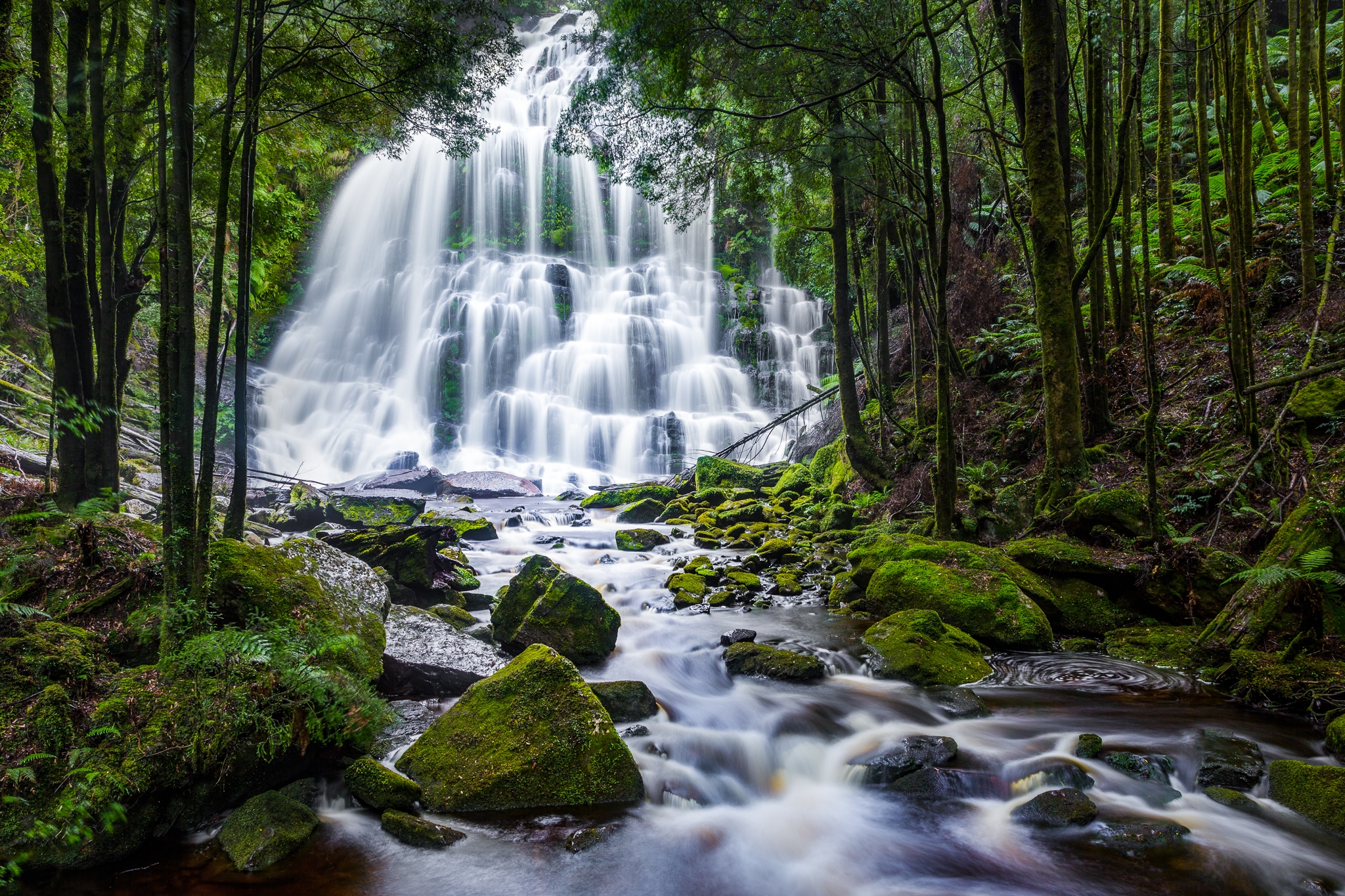 Free photo Big waterfall in the old growth forest