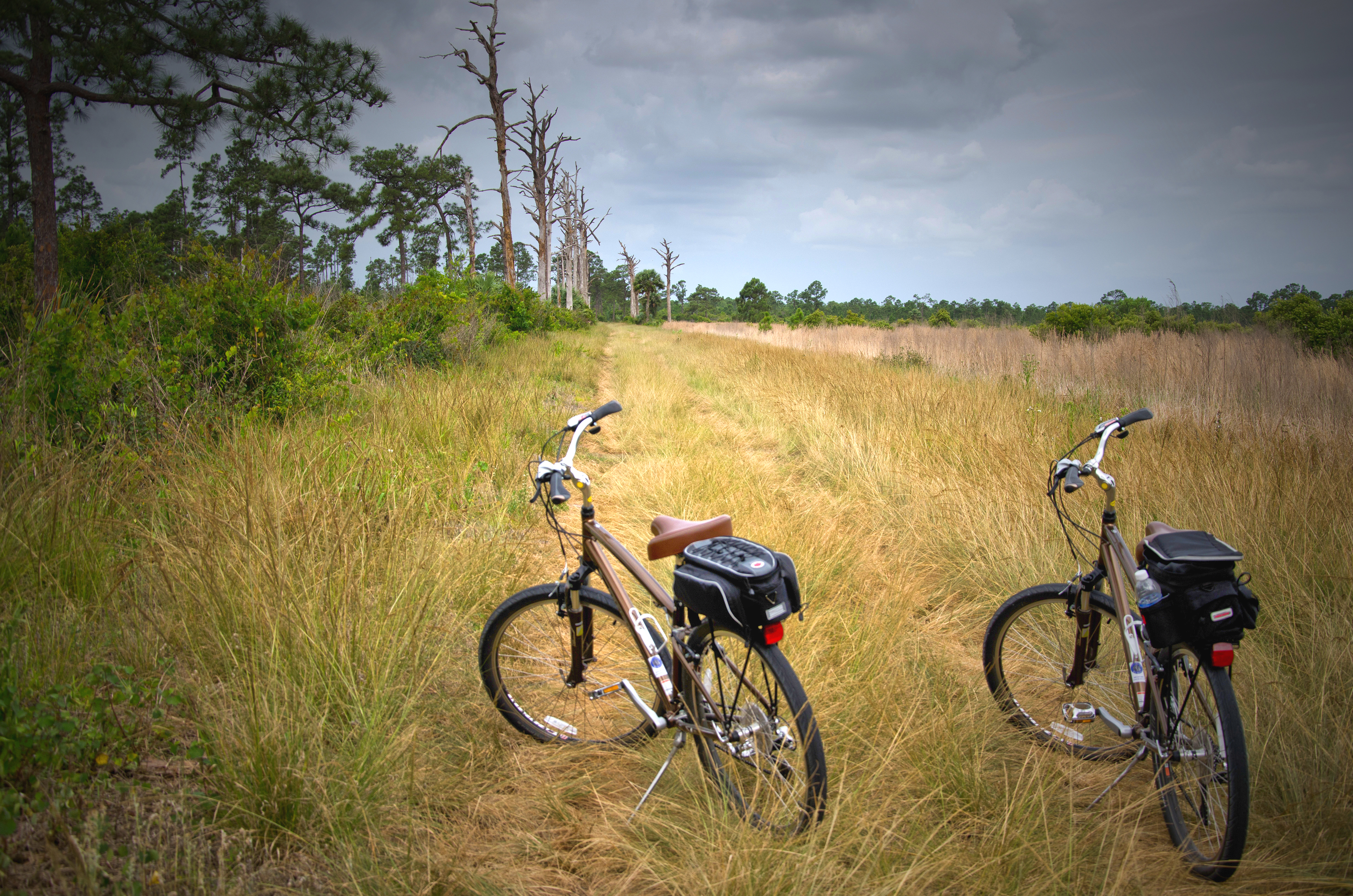 Wallpapers nature bike ride bicycles on the desktop