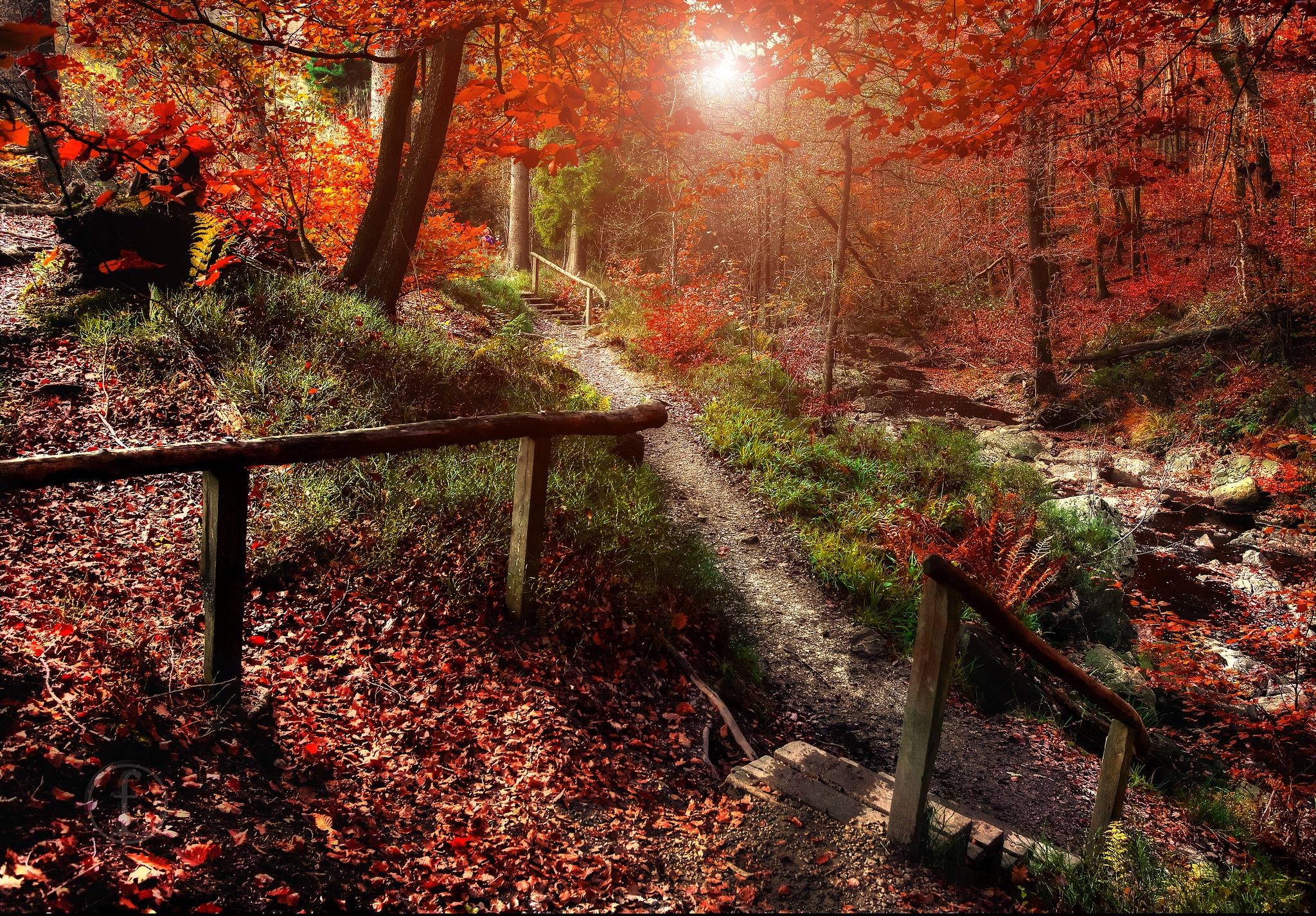 Wallpapers Magical autumn in Solwaster Belgium Park on the desktop