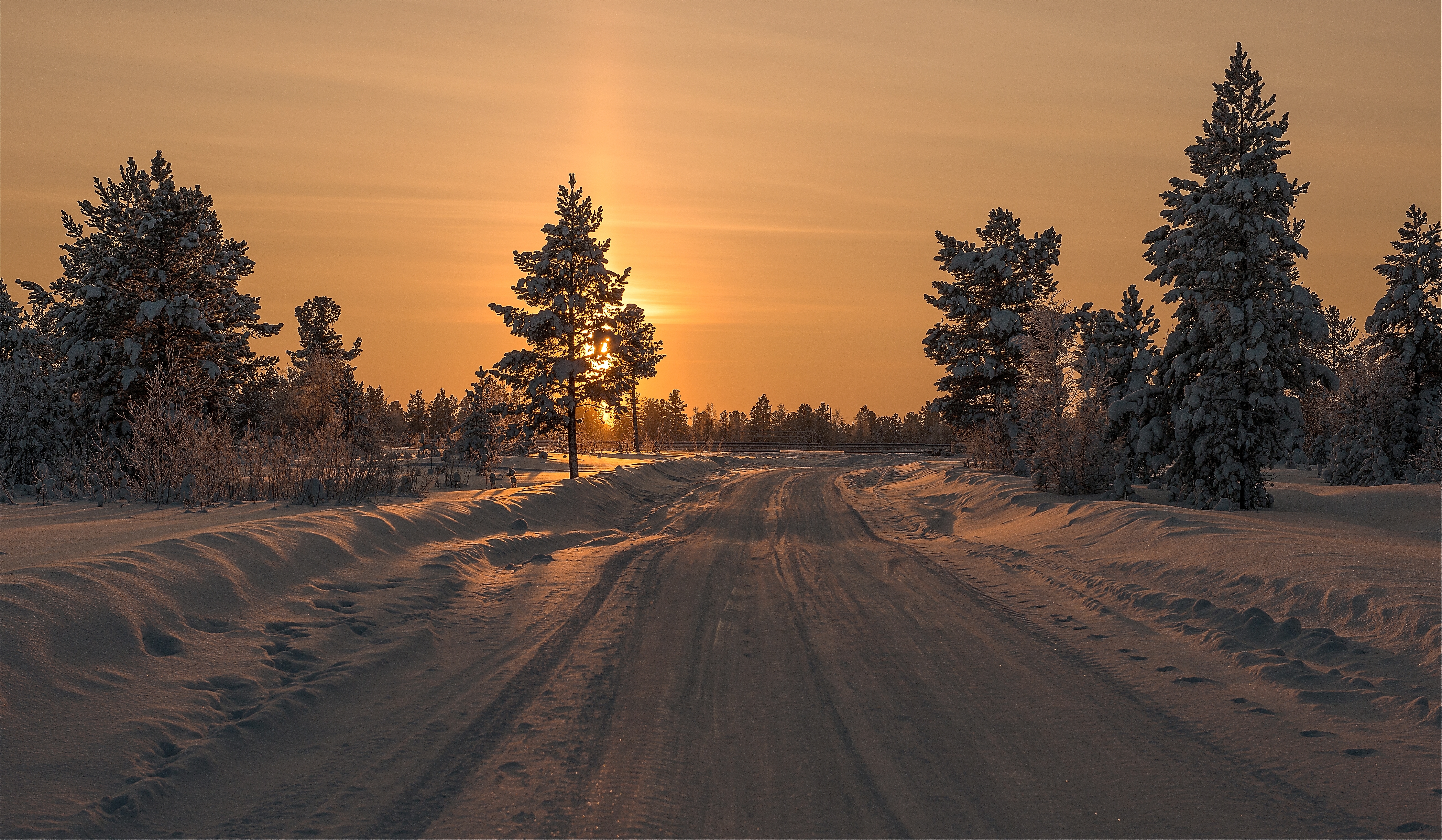 Wallpapers sunny weather snow road on the desktop