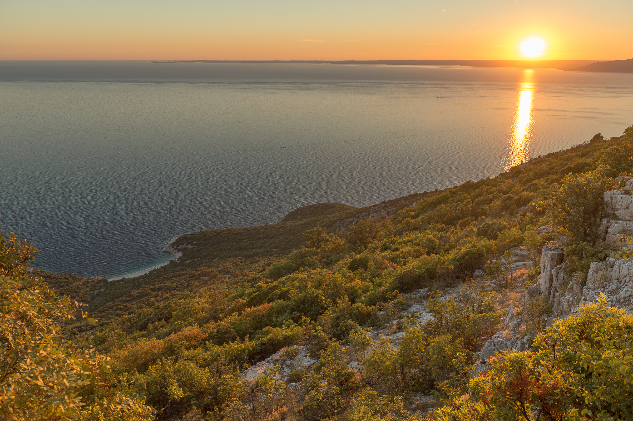 Free photo Autumn leaves at sunset in Croatia