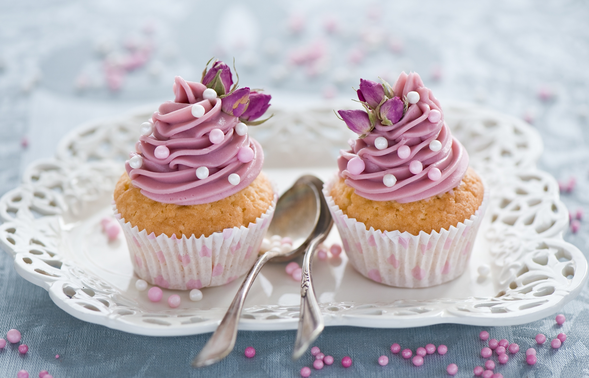 Wallpapers cupcakes pinky cream cake on the desktop