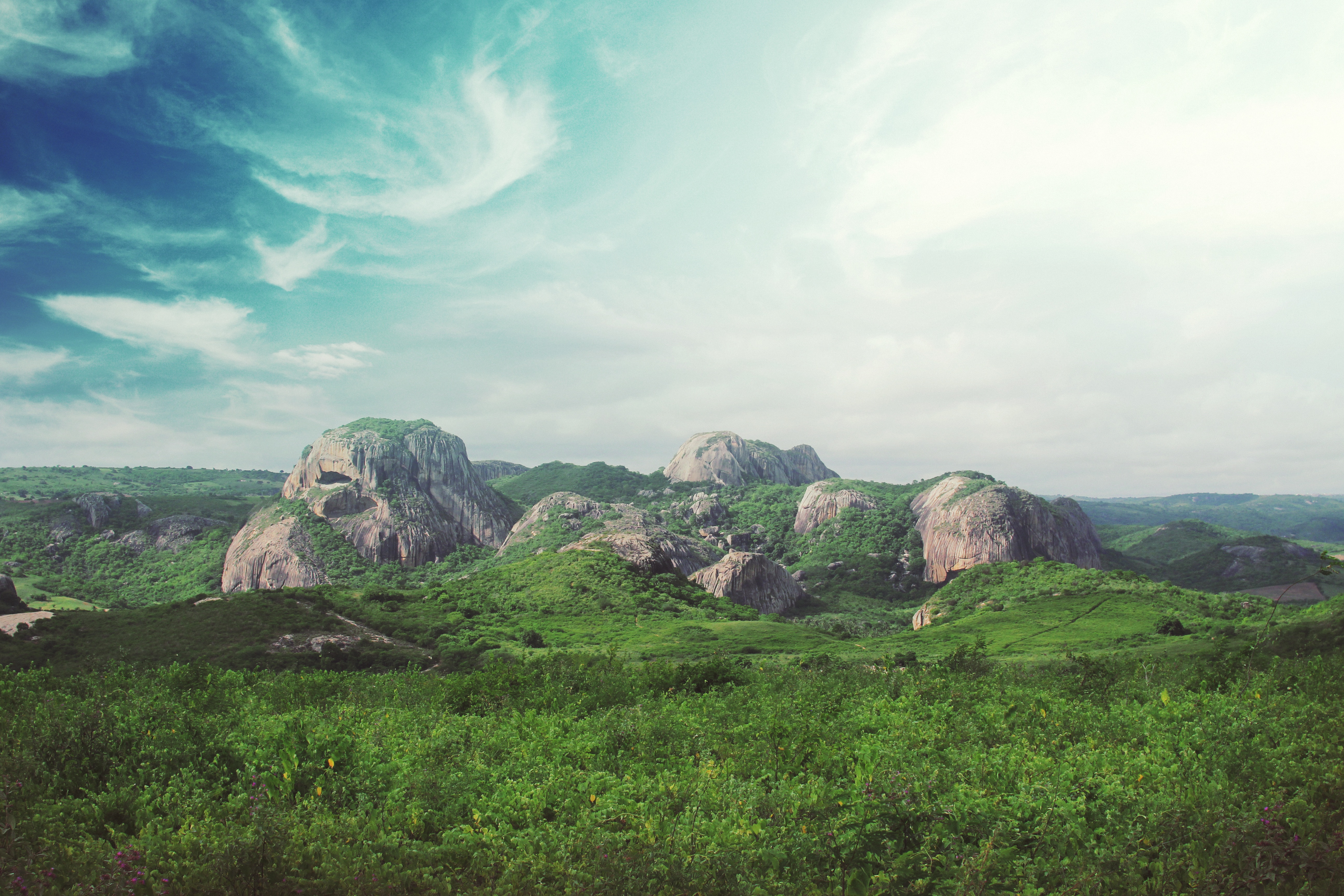 Wallpapers landscape nature grass on the desktop