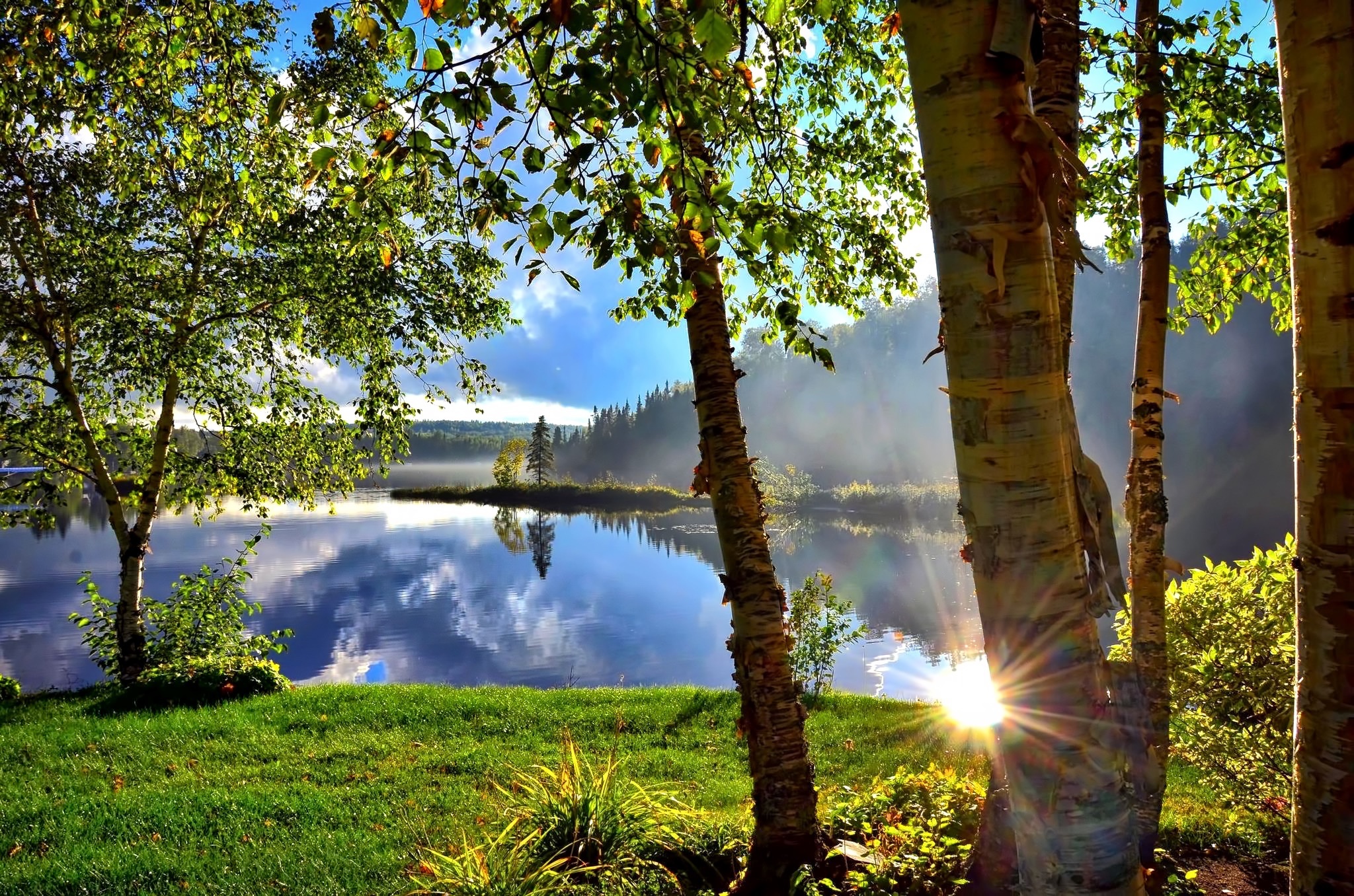 Free photo Sunny morning on the shore of a summer lake