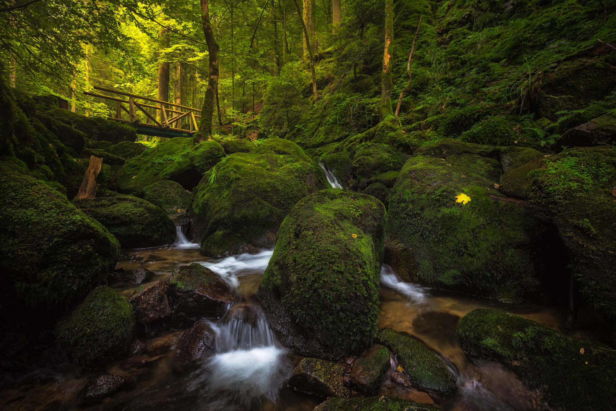 Обои creek Gertelbach Waterfall Schwarzwald на рабочий стол