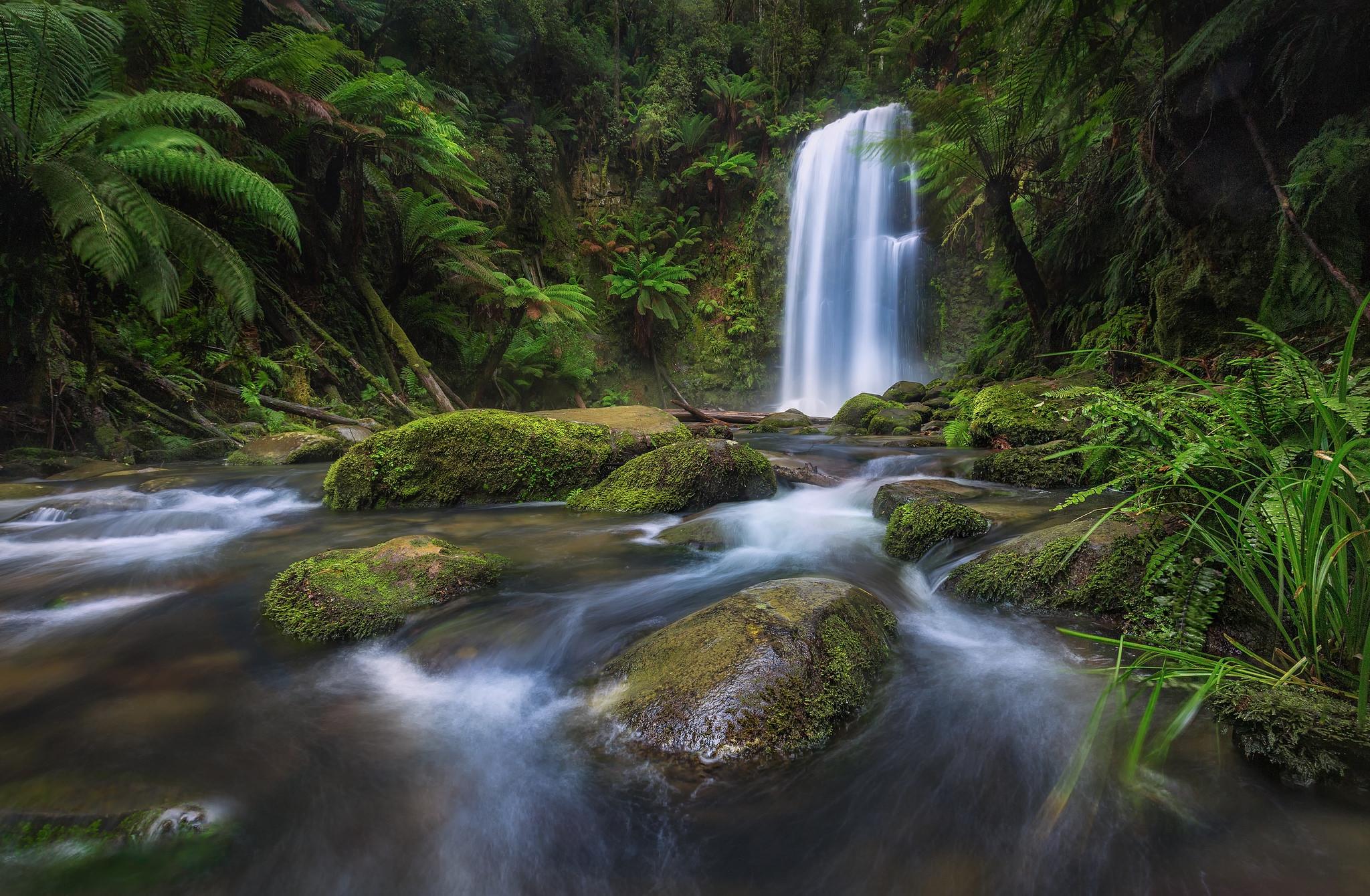 Free photo Photos of trees, river on the desktop