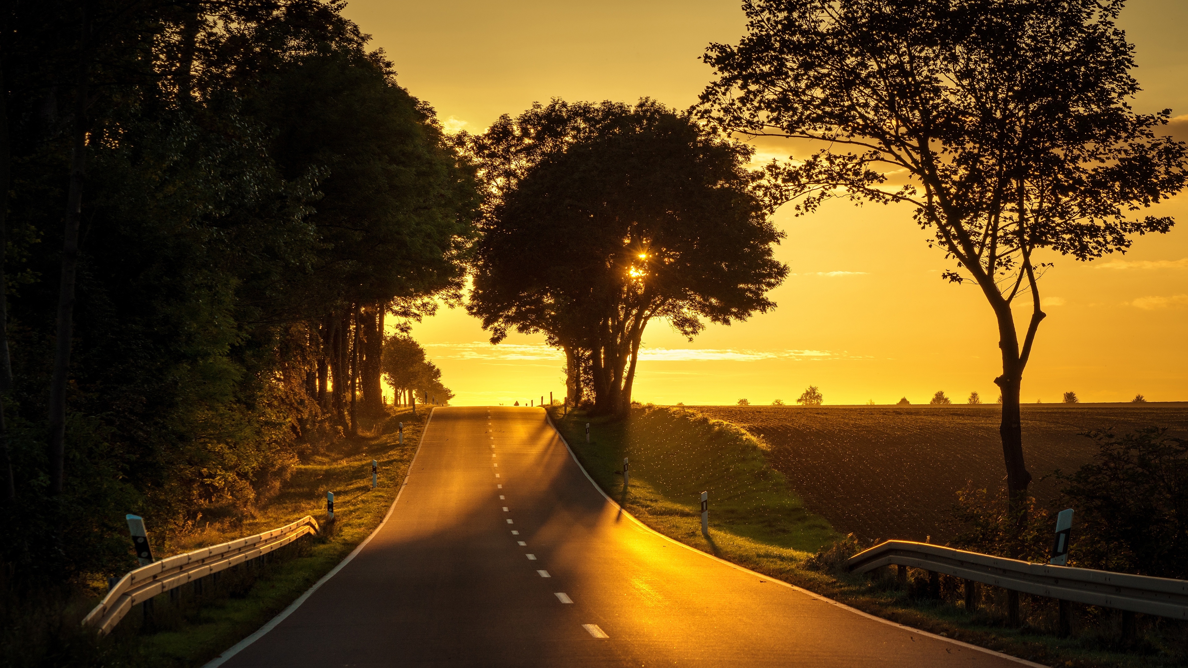 Free photo The evening sky over a country road