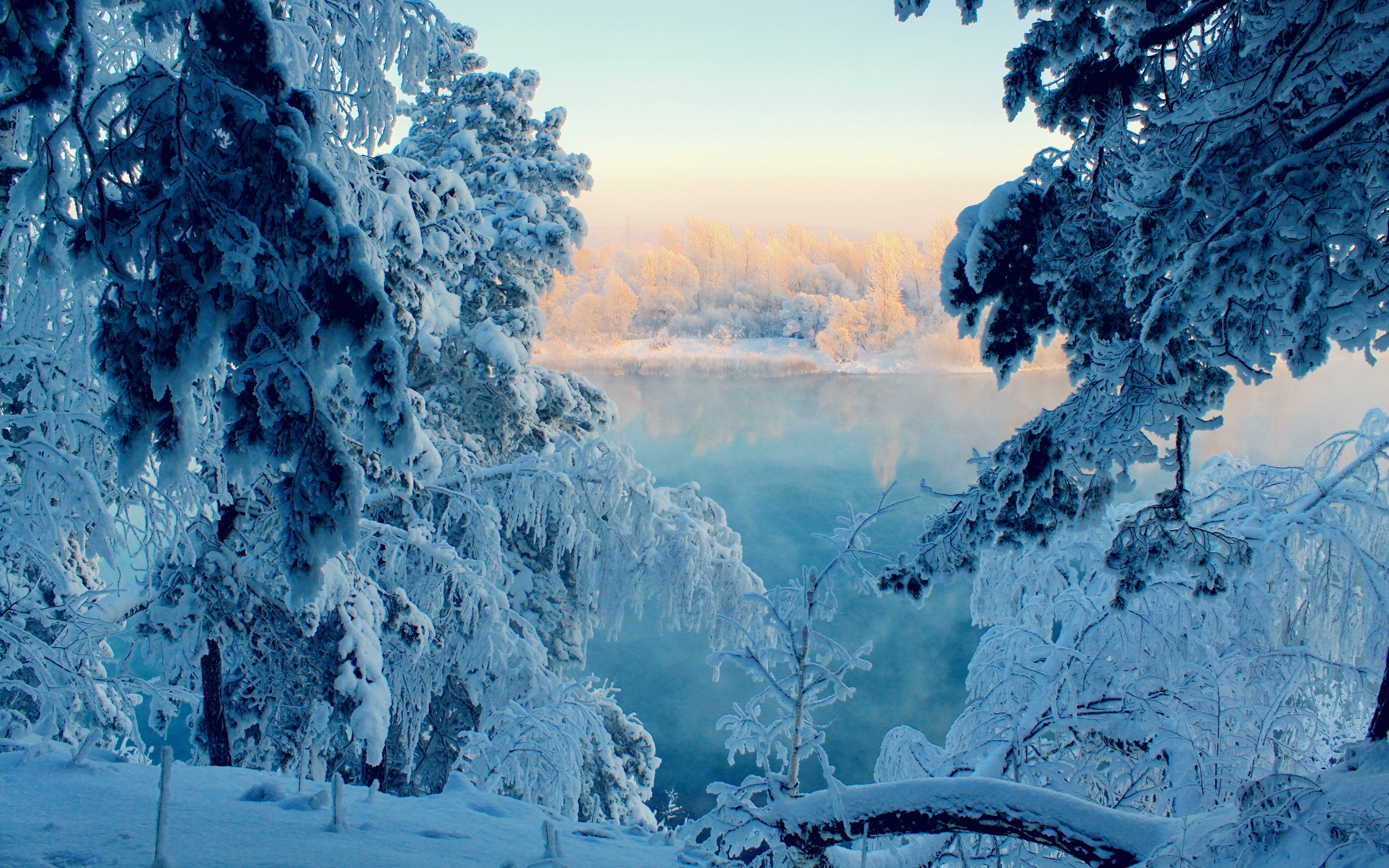 免费照片霜冻期间的雪林与湖泊