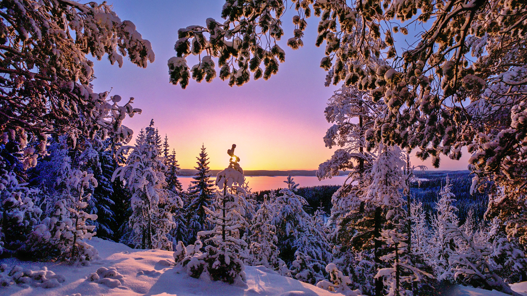 Wallpapers lake trees snow on the desktop